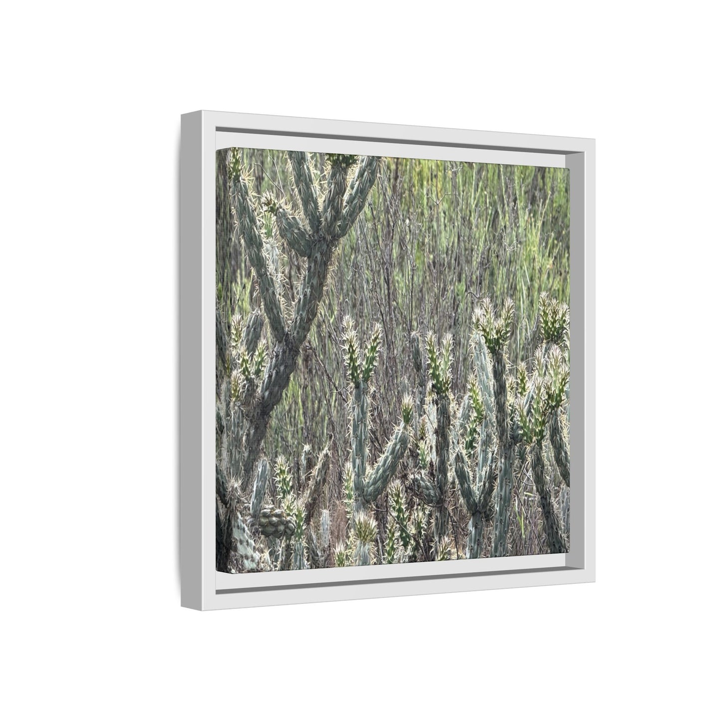 Prickly Paradise - Unique Stretched Canvas Wall Art