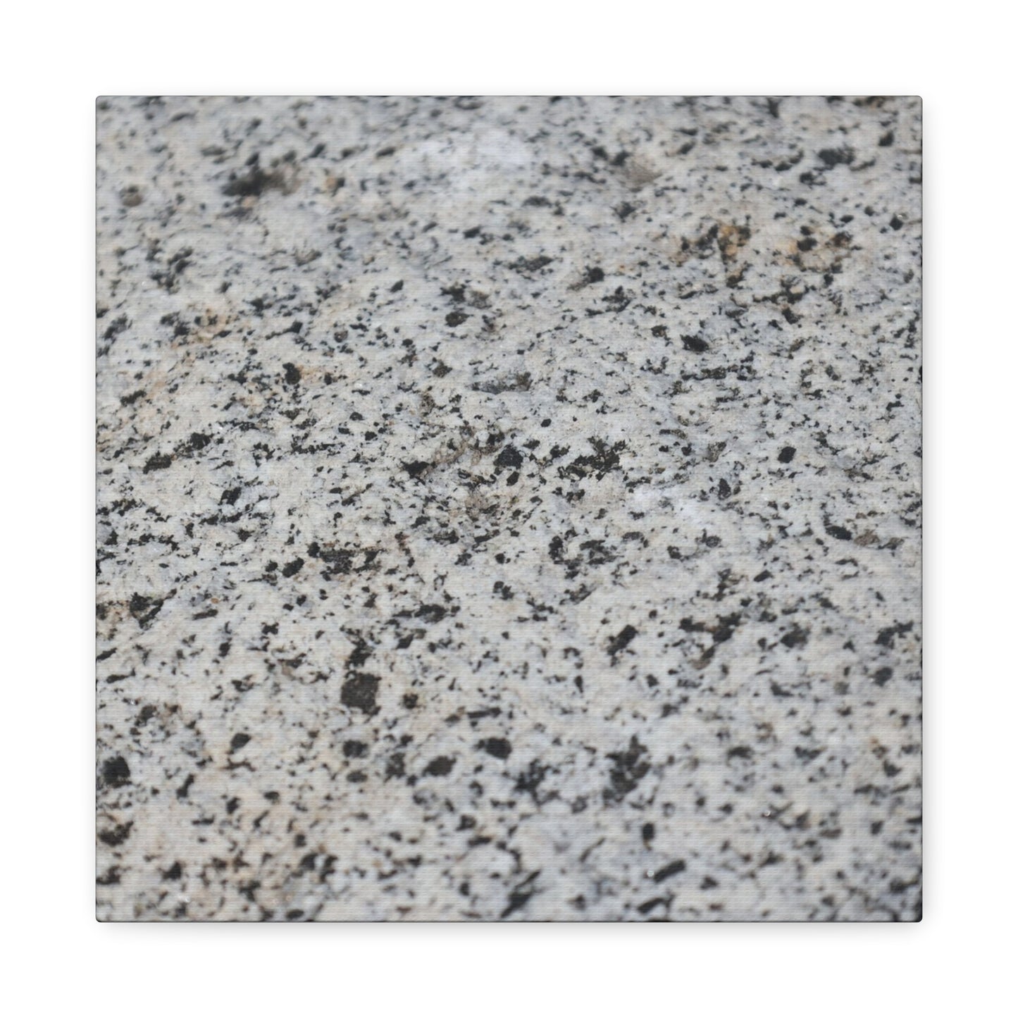 Speckled Silence - Unique Frameless Canvas Wall Art
