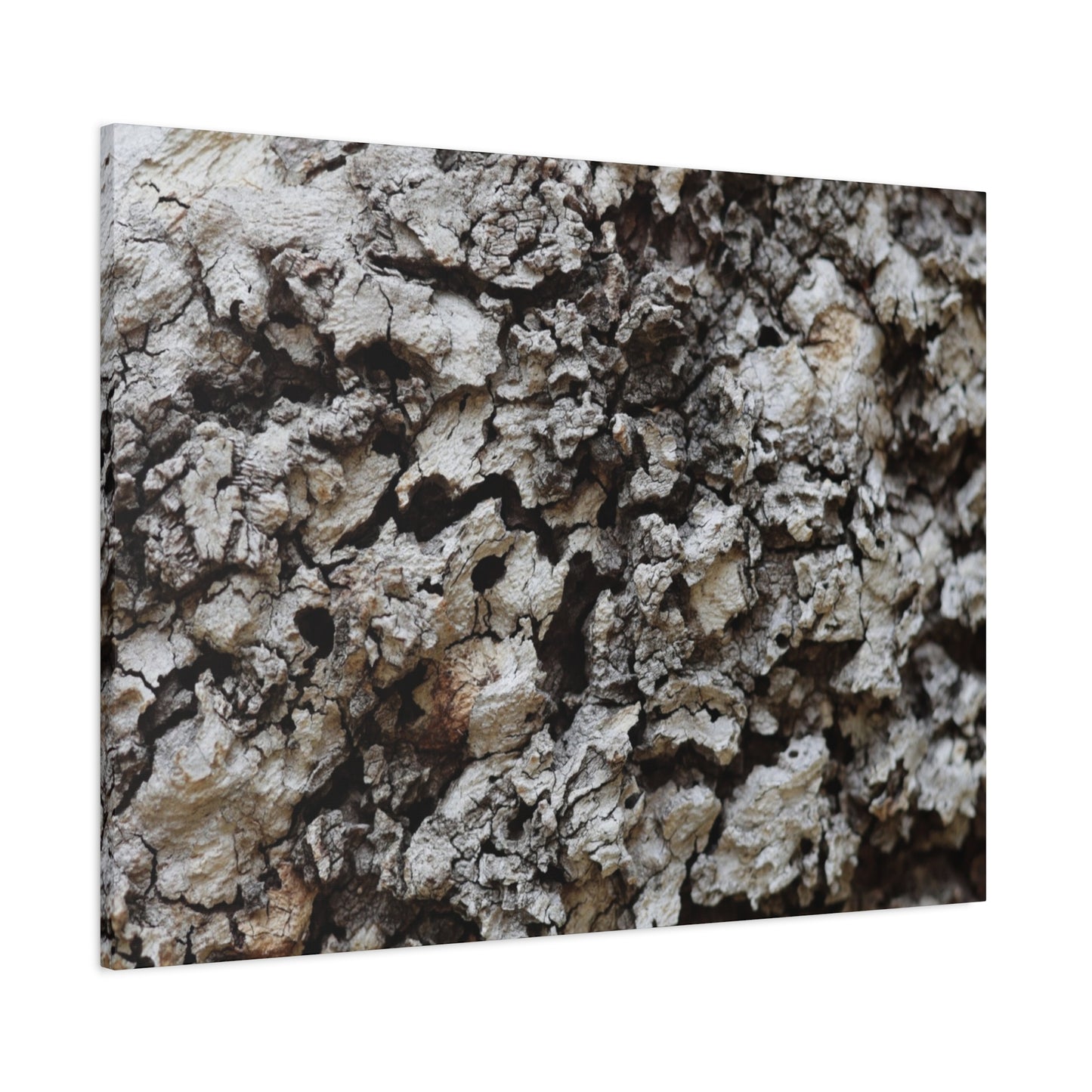 Cracked Earth Tapestry - Unique Frameless Canvas Wall Art