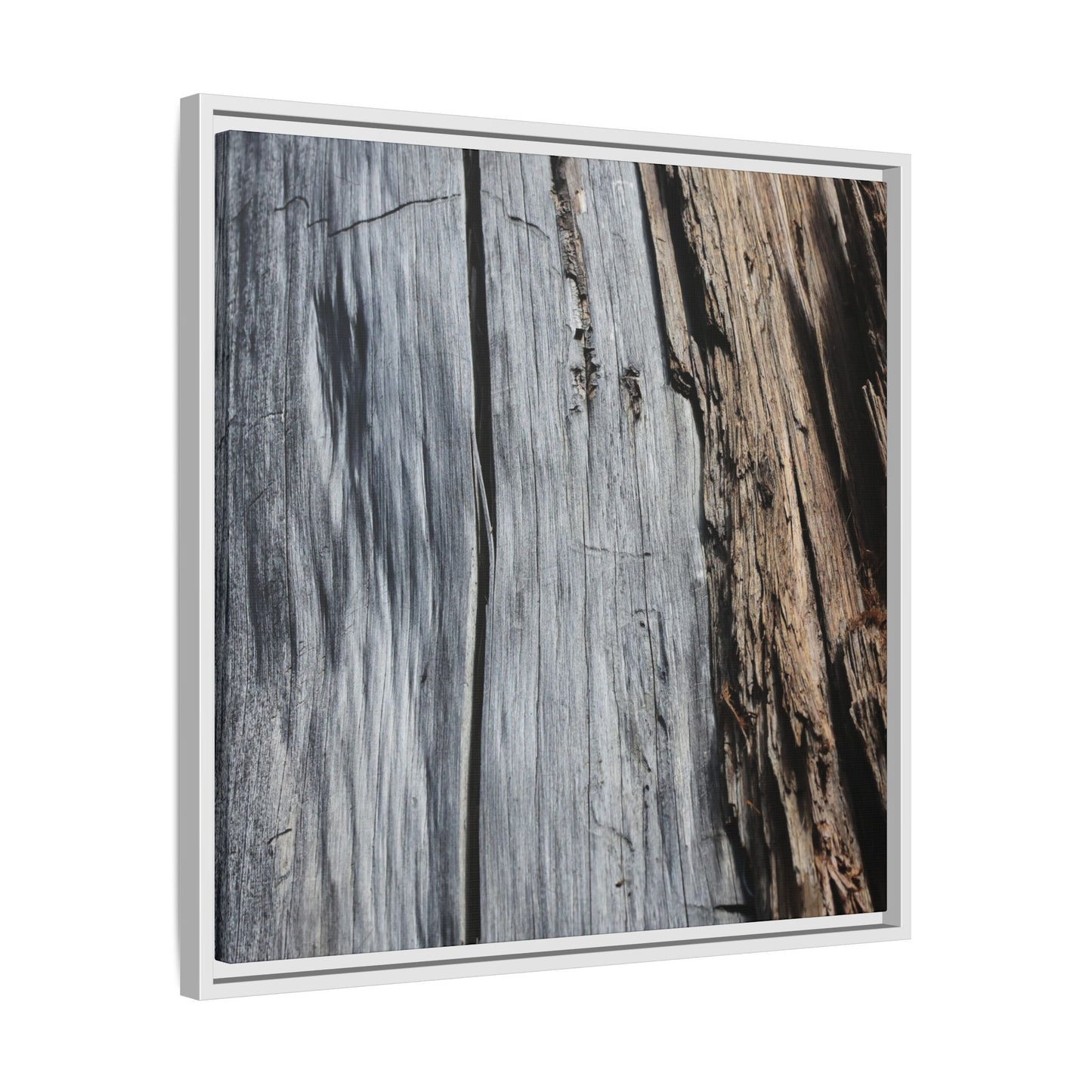 Wood's Lament - Unique Stretched Canvas Wall Art