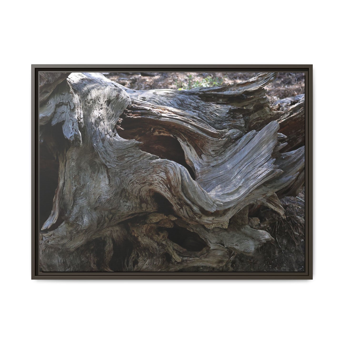 Twisted Memories - Unique Stretched Canvas Wall Art