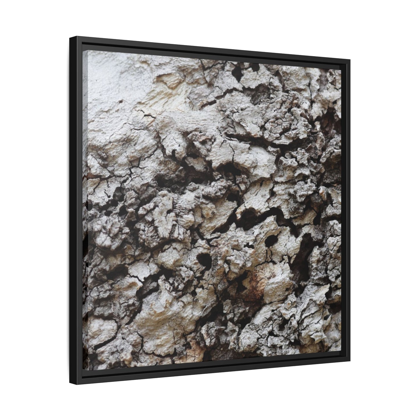Cracked Terrain - Unique Stretched Canvas Wall Art