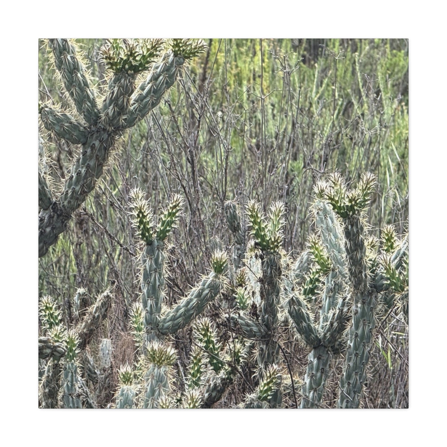 Spiny Sentinels - Unique Frameless Canvas Wall Art