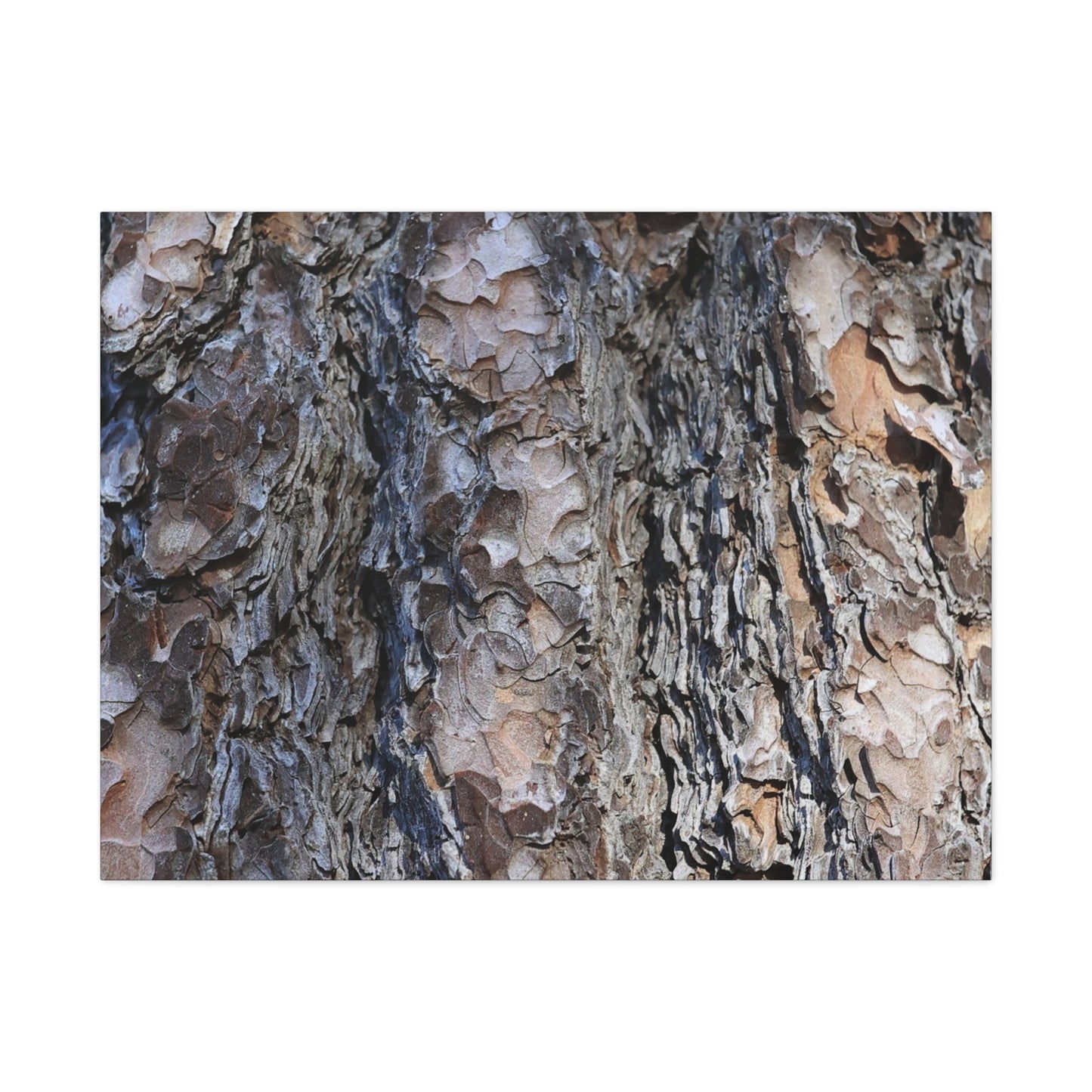 Bark's Rugged Symphony - Unique Frameless Canvas Wall Art