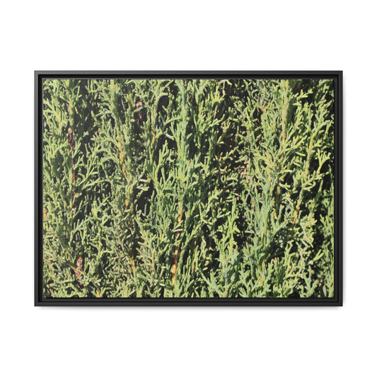 Emerald Labyrinth - Unique Stretched Canvas Wall Art - Art By Earth