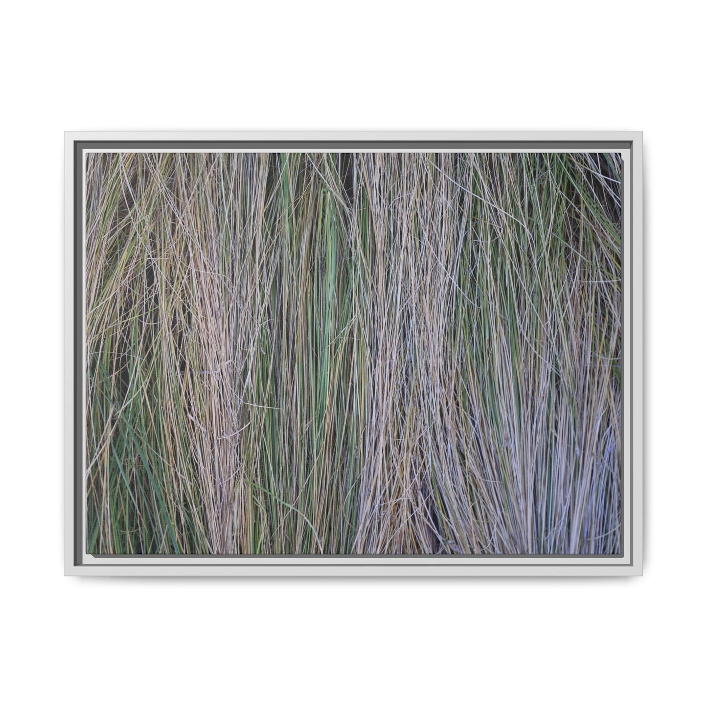 Whispers of Silver Grass - Unique Stretched Canvas Wall Art