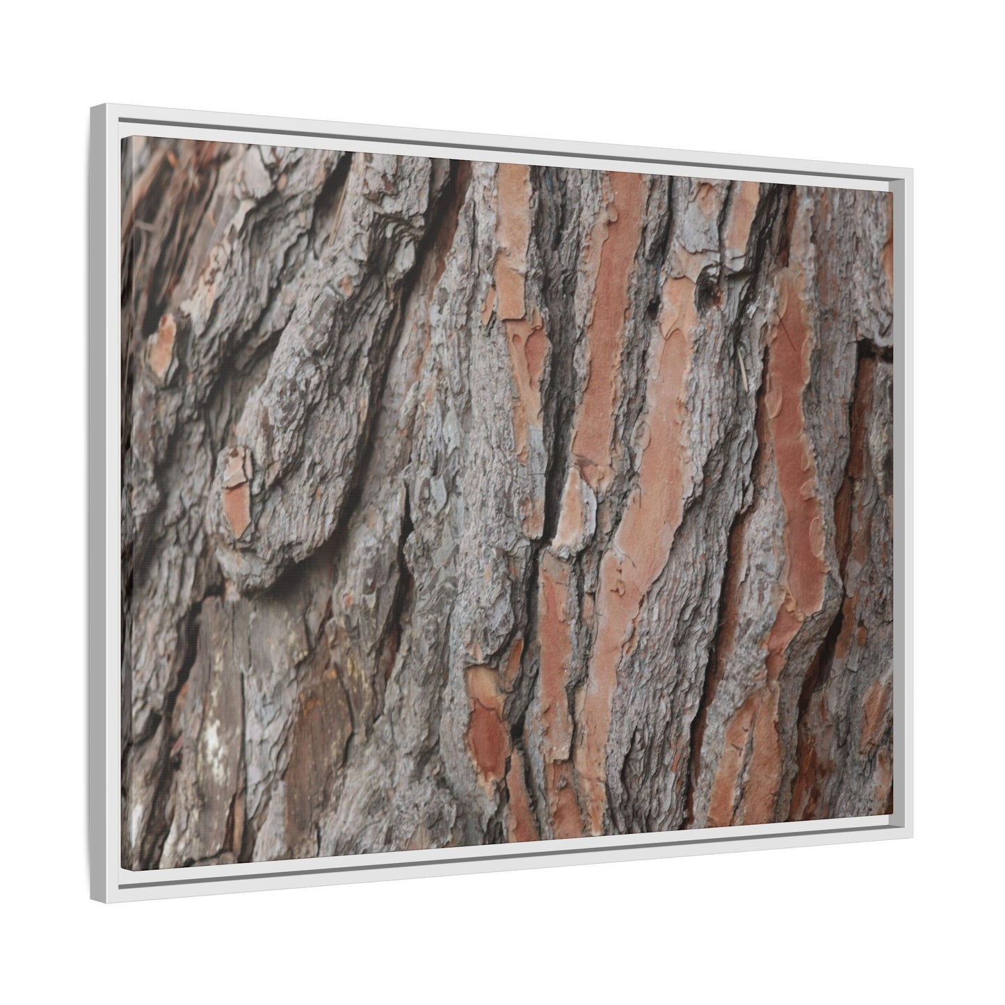 Woodland Layers - Unique Stretched Canvas Wall Art