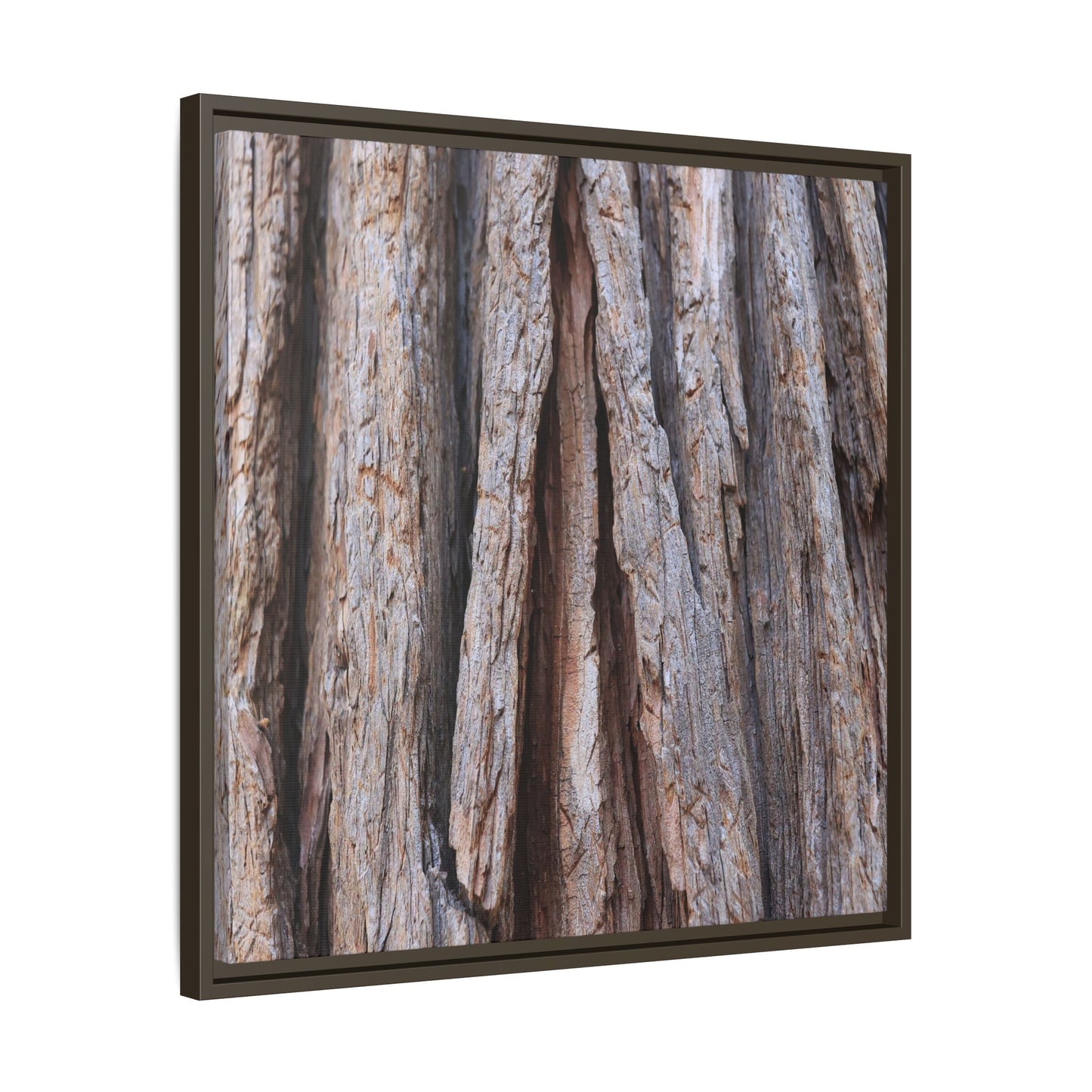 Nature's Sculpture - Unique Stretched Canvas Wall Art