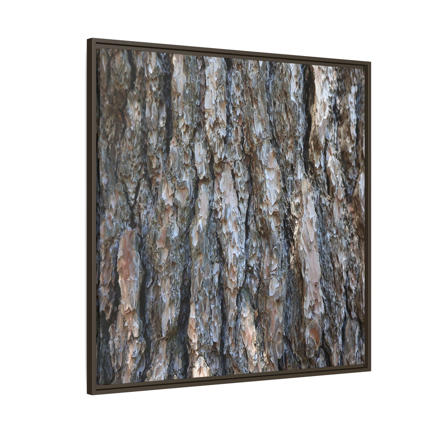 Bark Whispers - Unique Stretched Canvas Wall Art