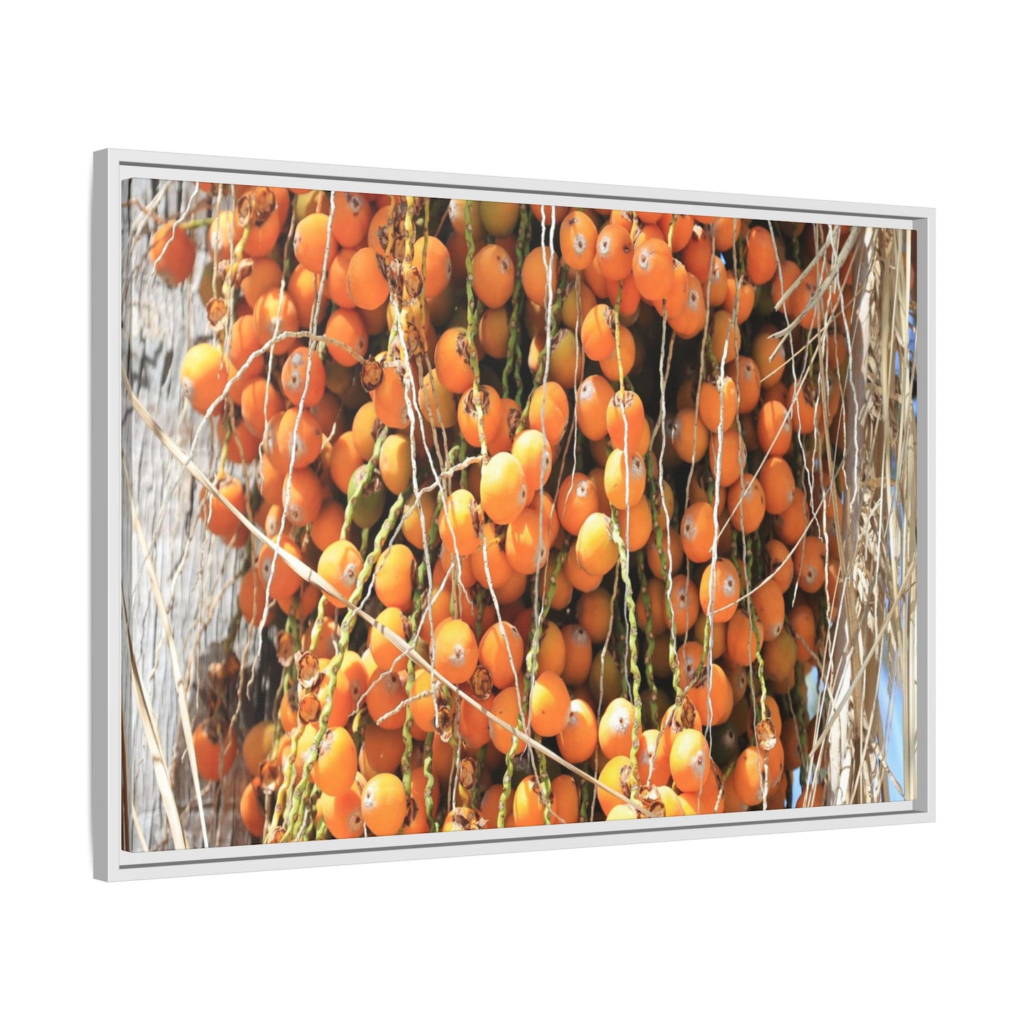 Clusters of Sunlight - Unique Canvas Wall Art