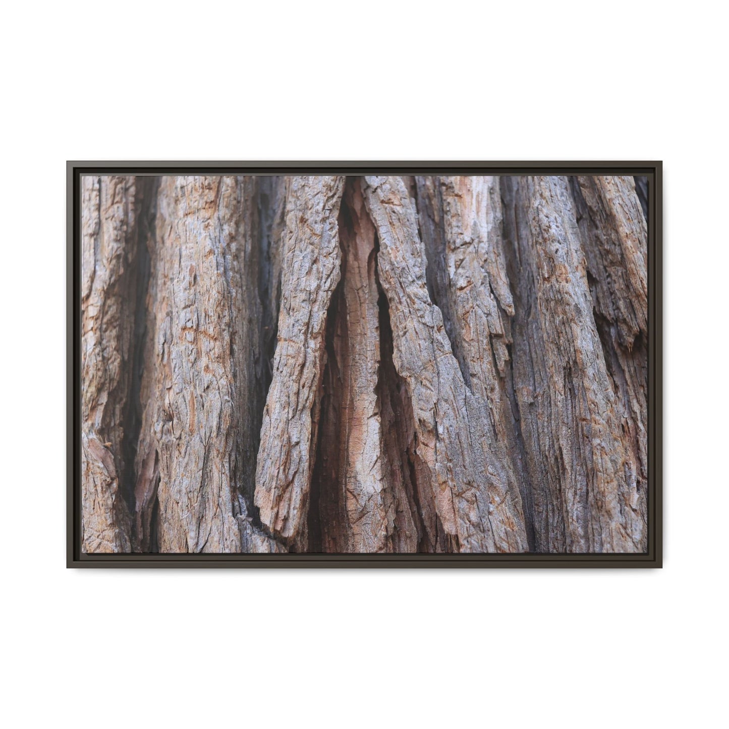 Nature's Sculpture - Unique Stretched Canvas Wall Art