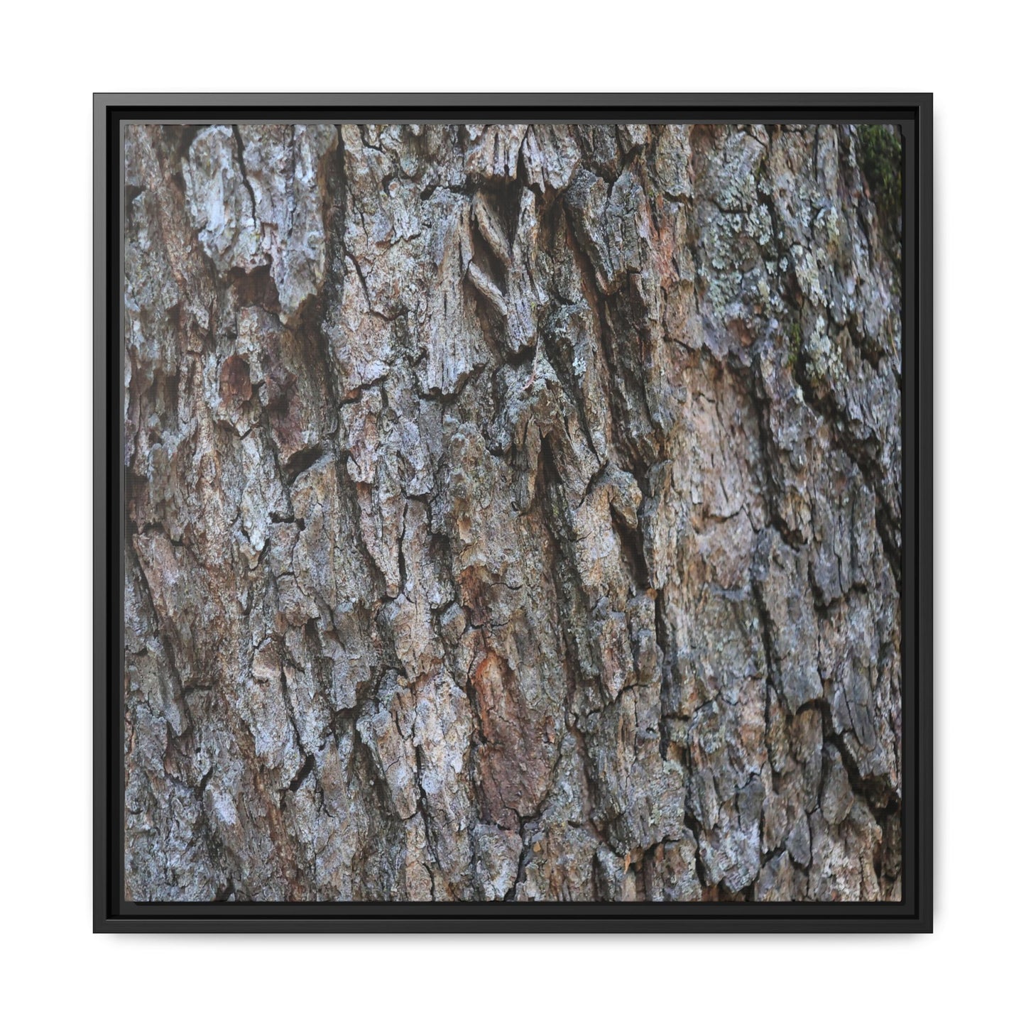 Woodland Skin - Unique Stretched Canvas Wall Art