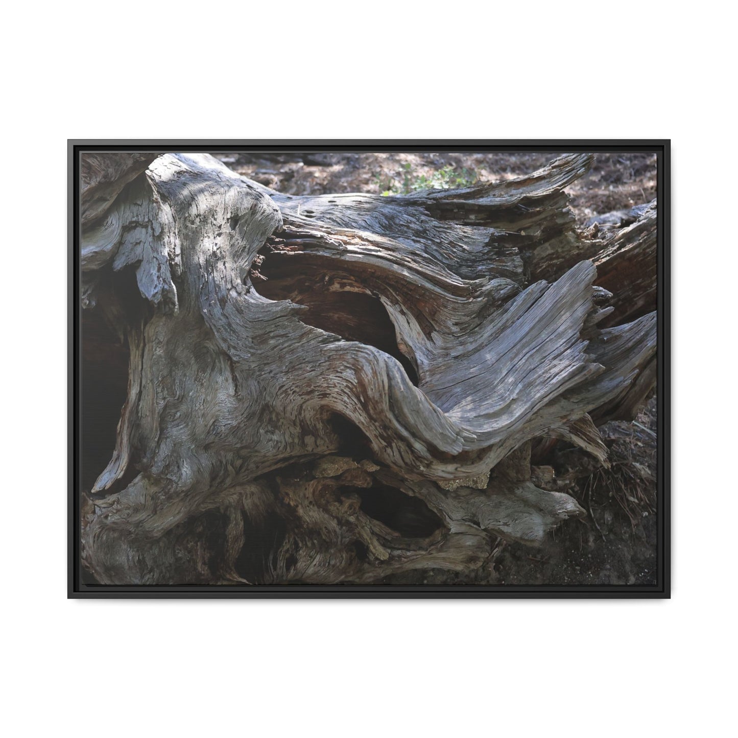 Twisted Memories - Unique Stretched Canvas Wall Art