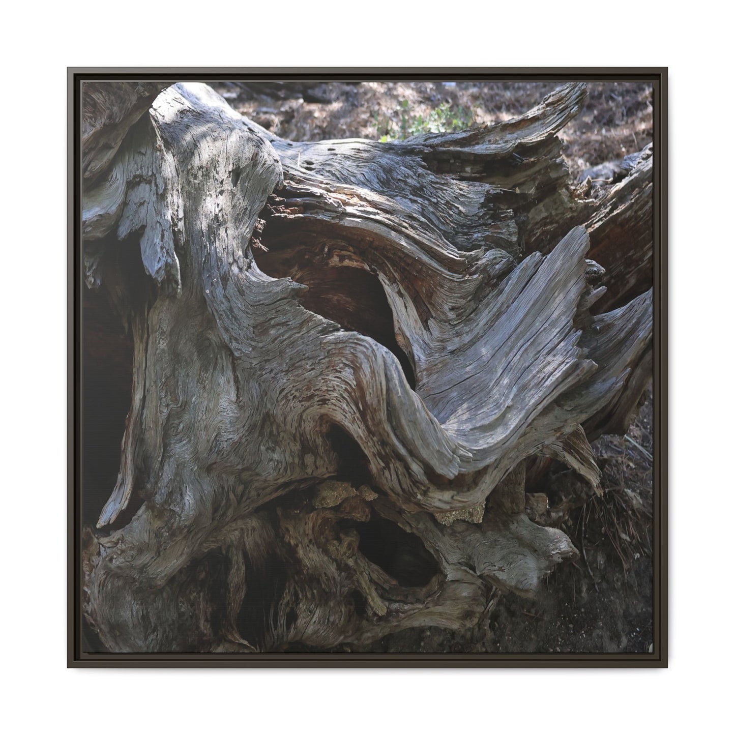Twisted Memories - Unique Stretched Canvas Wall Art