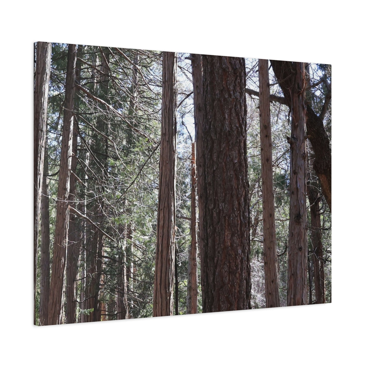 Vertical Sentinels - Unique Frameless Canvas Wall Art