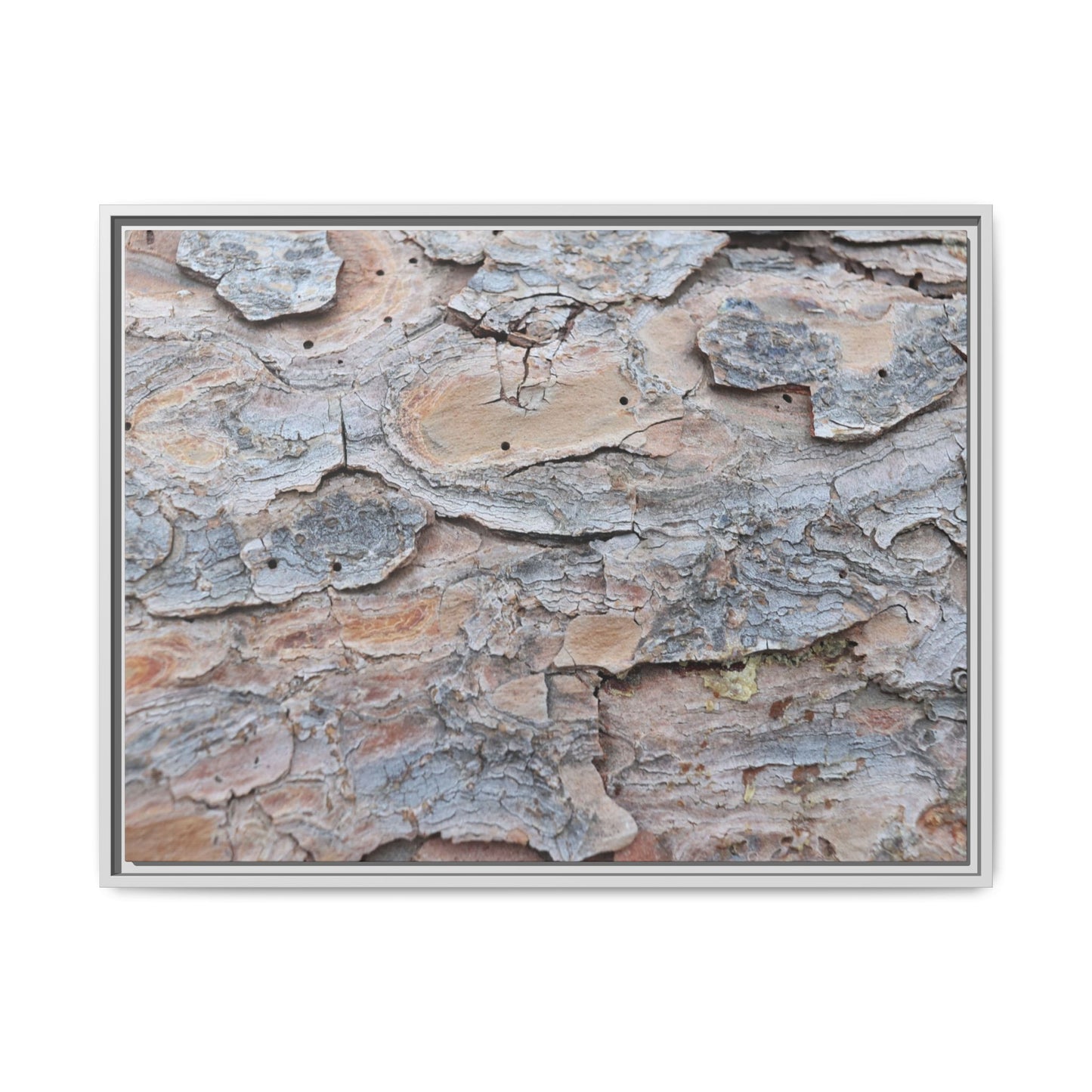 Peeling Memories - Unique Stretched Canvas Wall Art