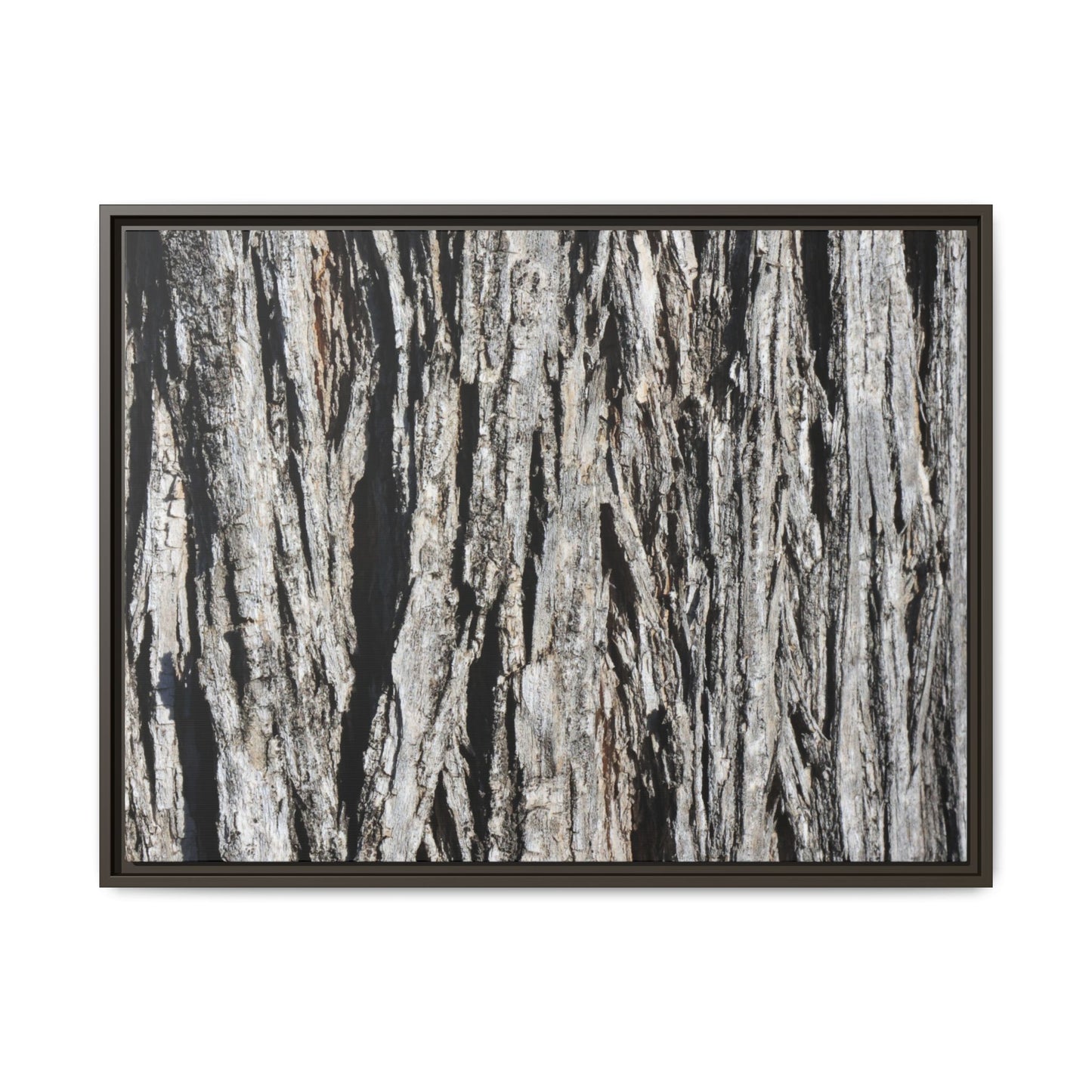 Nature's Abstract - Unique Stretched Canvas Wall Art