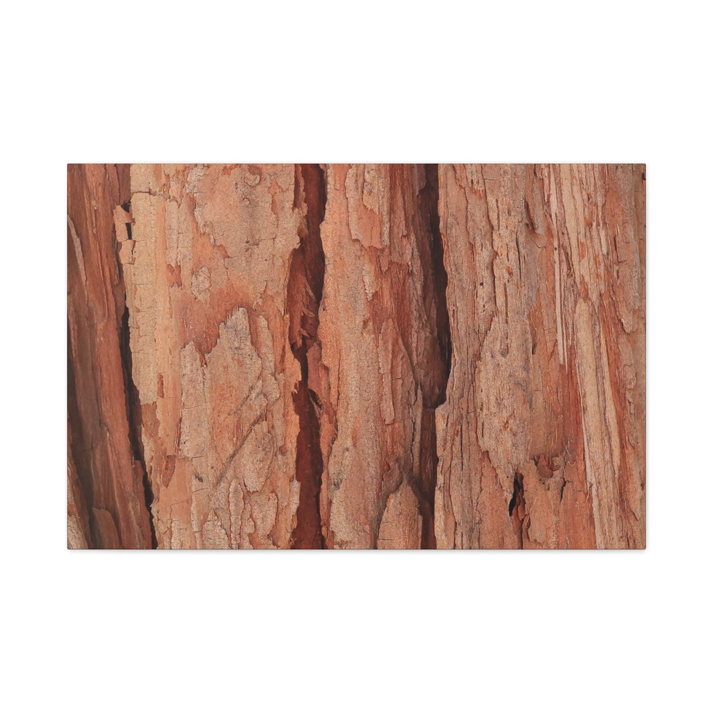 Bark Layers of Time - Unique Frameless Canvas Wall Art