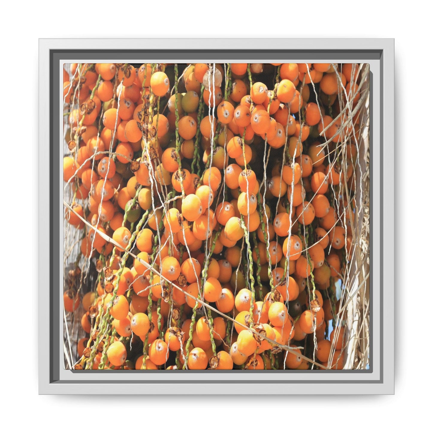 Clusters of Sunlight - Unique Canvas Wall Art