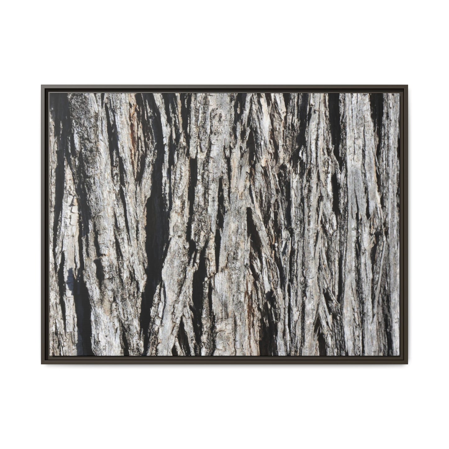 Nature's Abstract - Unique Stretched Canvas Wall Art