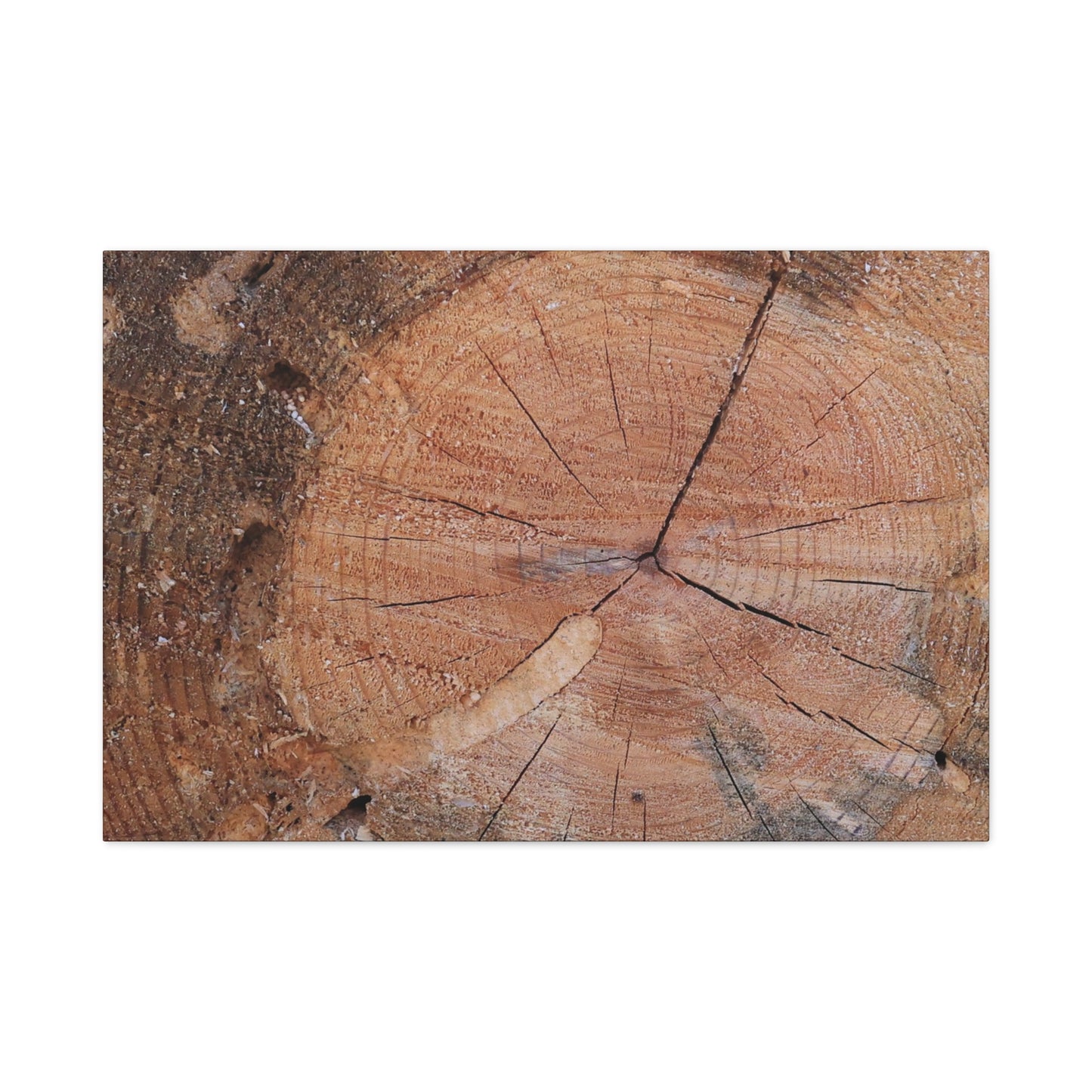 Timber Tale - Unique Frameless Canvas Wall Art