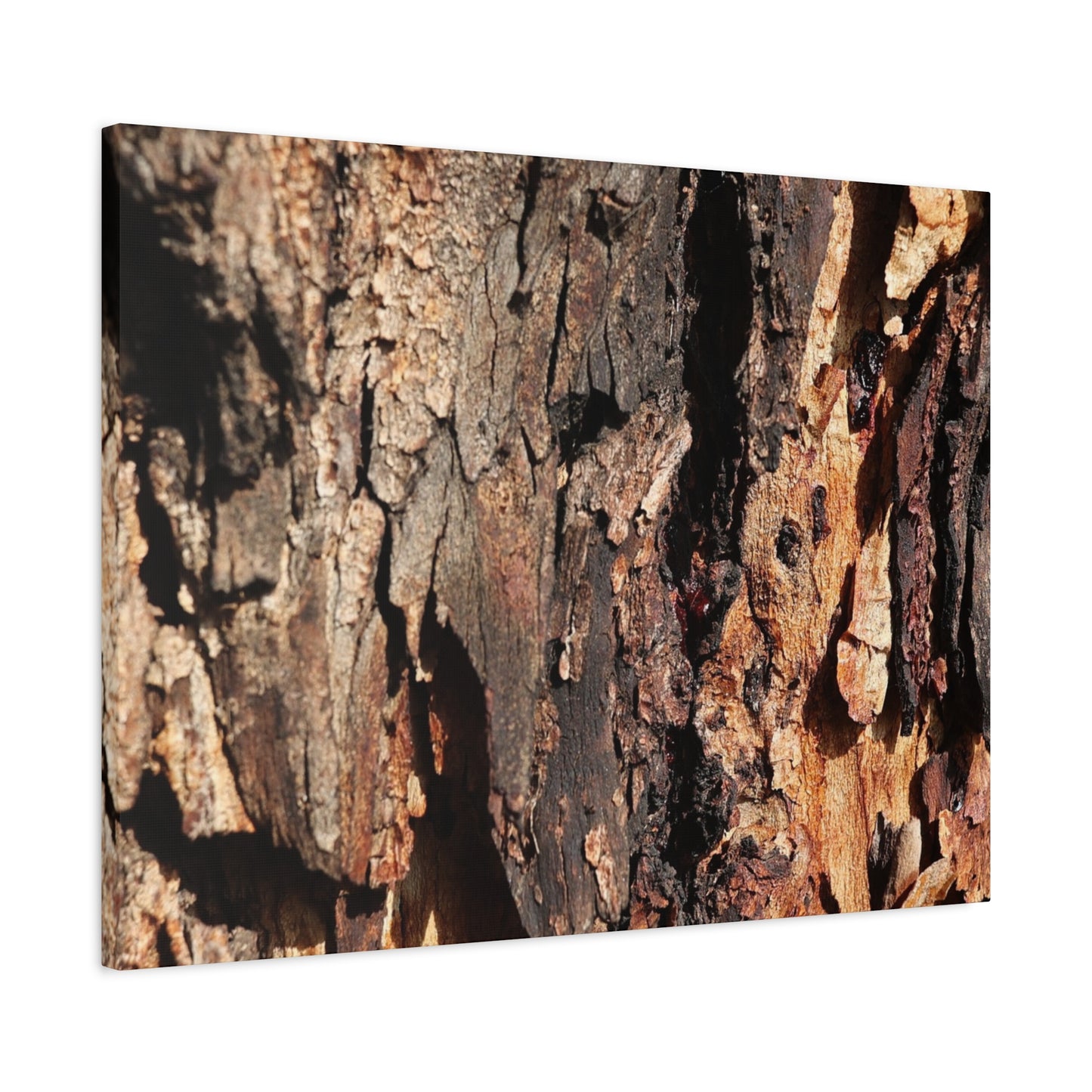 Wooden Terrain - Unique Frameless Canvas Wall Art