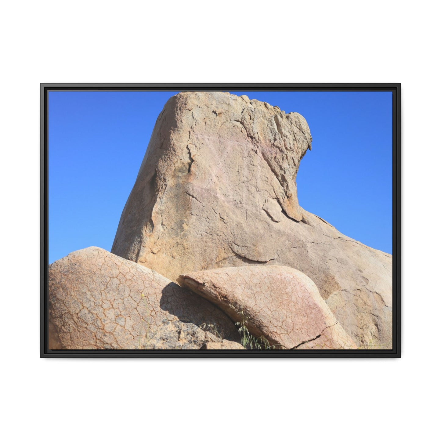 Rocky Sentinel - Unique Stretched Canvas Wall Art