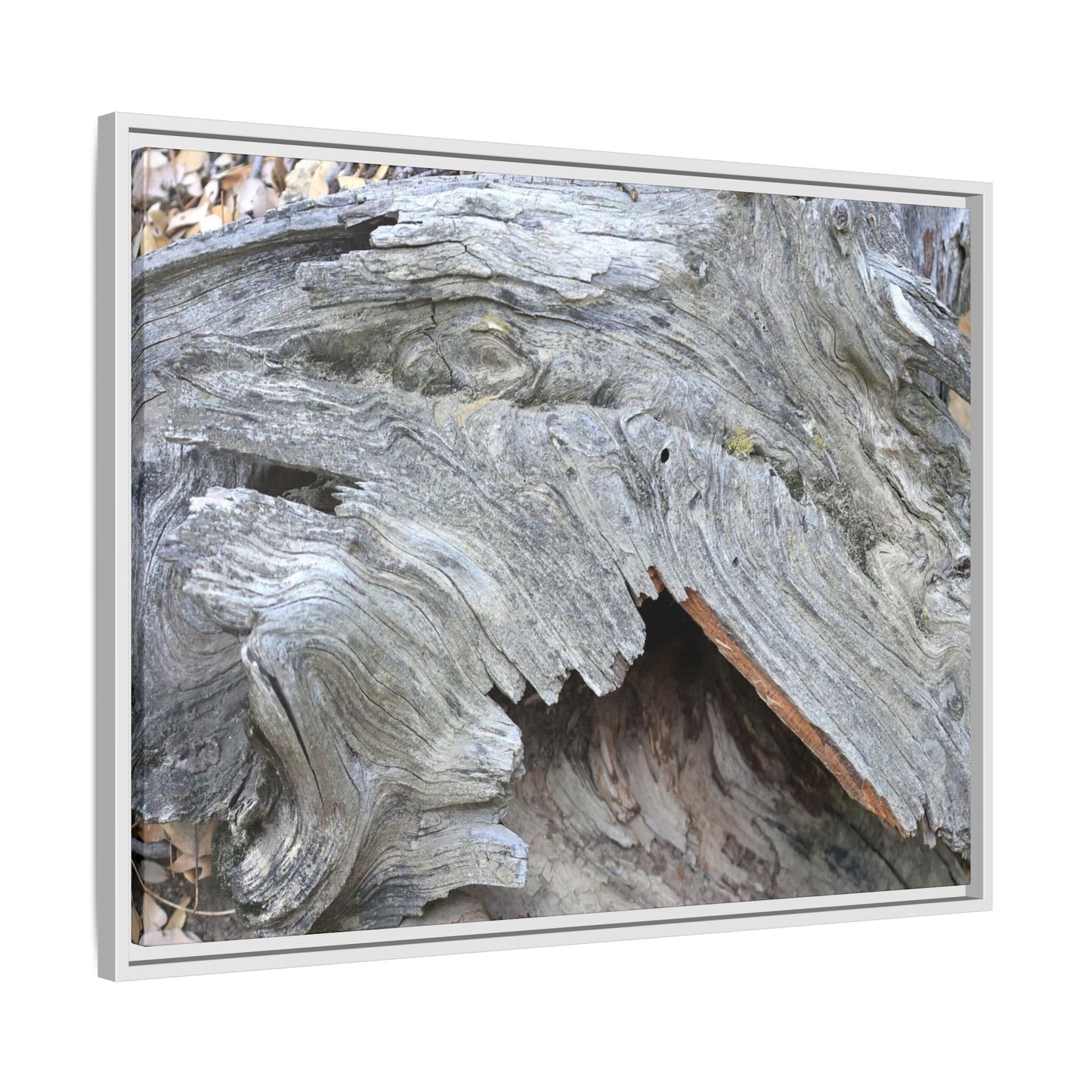 Driftwood Dreams - Unique Stretched Canvas Wall Art