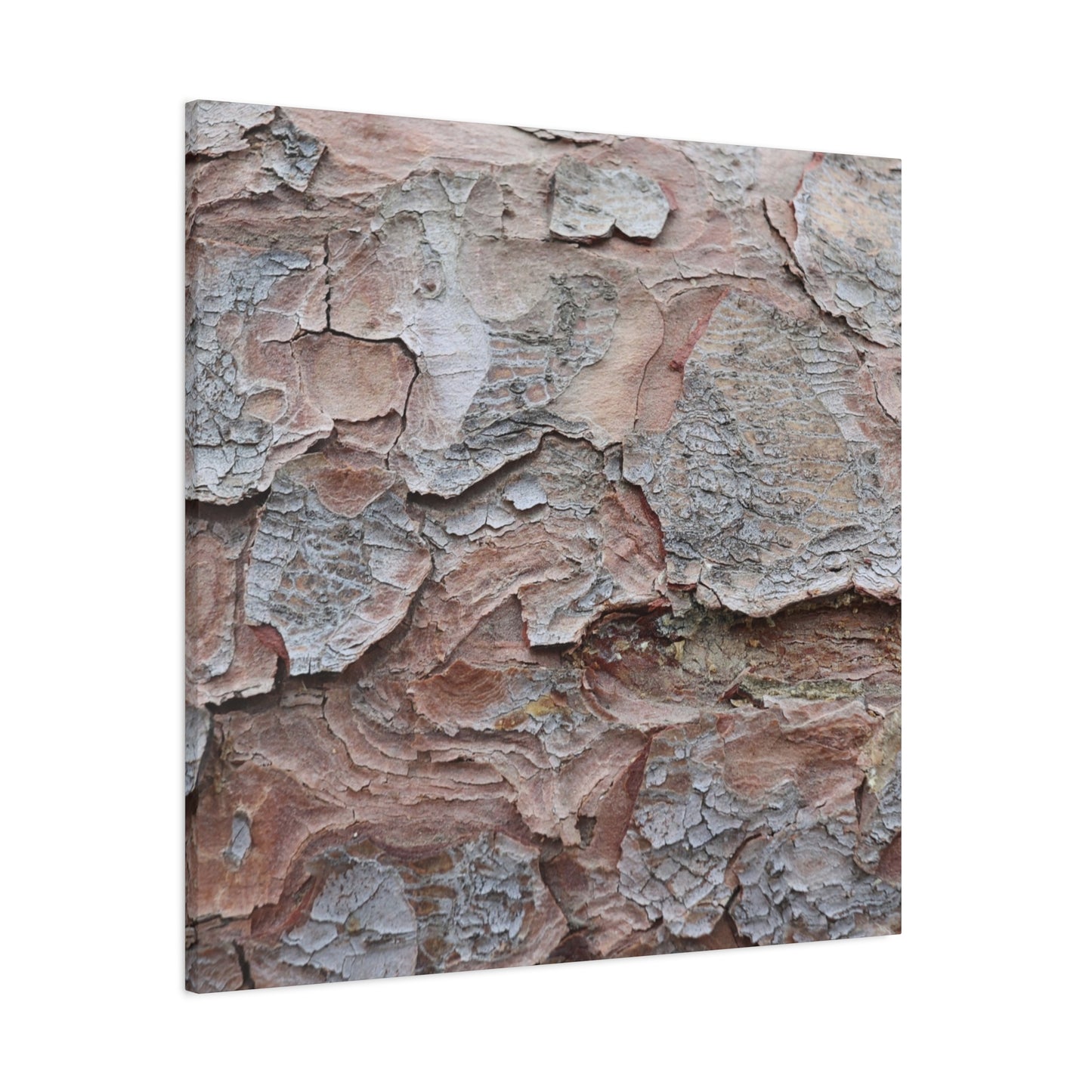 Textural Landscape - Unique Frameless Canvas Wall Art