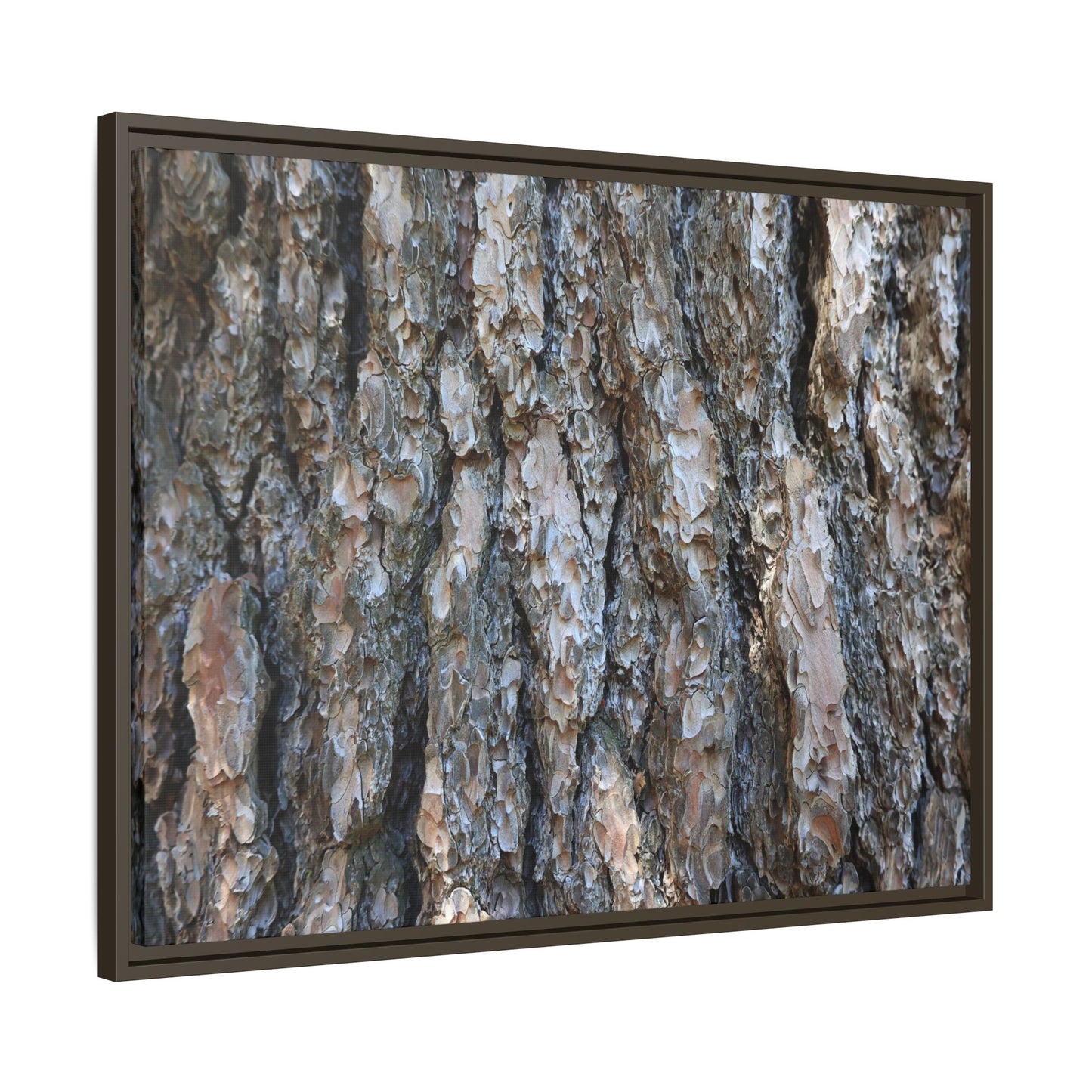 Bark Whispers - Unique Stretched Canvas Wall Art