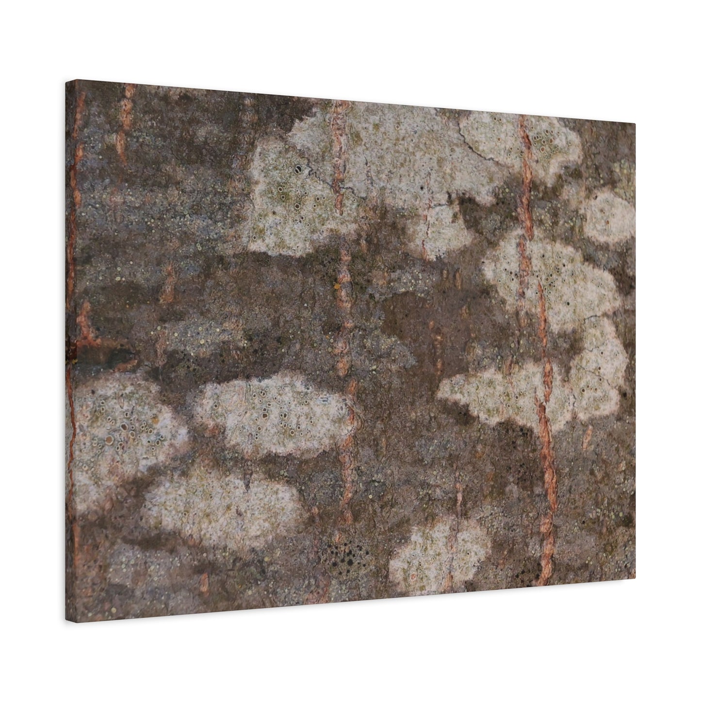 Earthen Memoir - Unique Frameless Canvas Wall Art