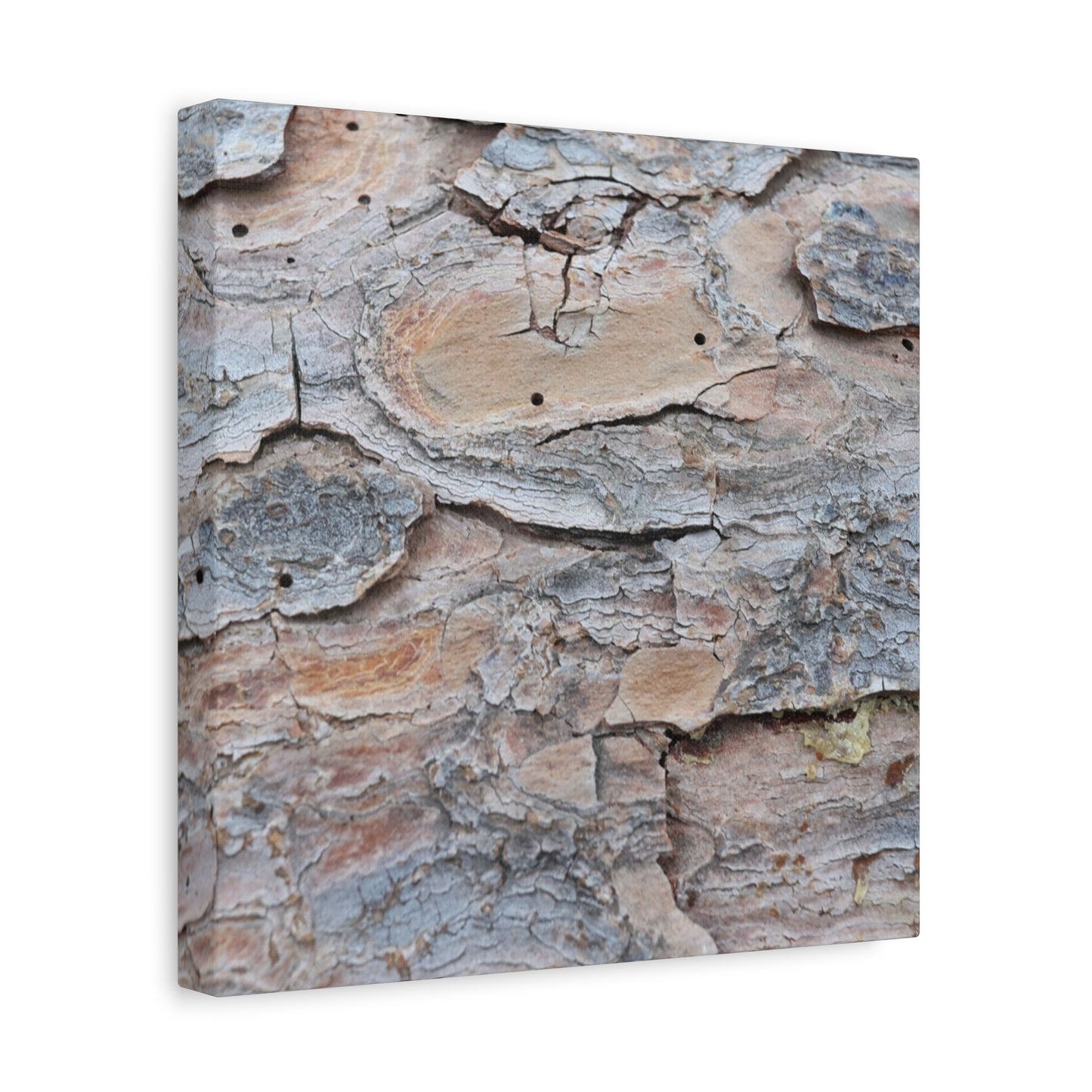 Textural Geology - Unique Frameless Canvas Wall Art