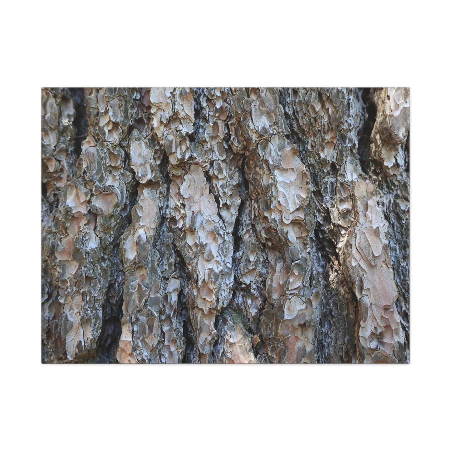 Elemental Tapestry - Unique Frameless Canvas Wall Art