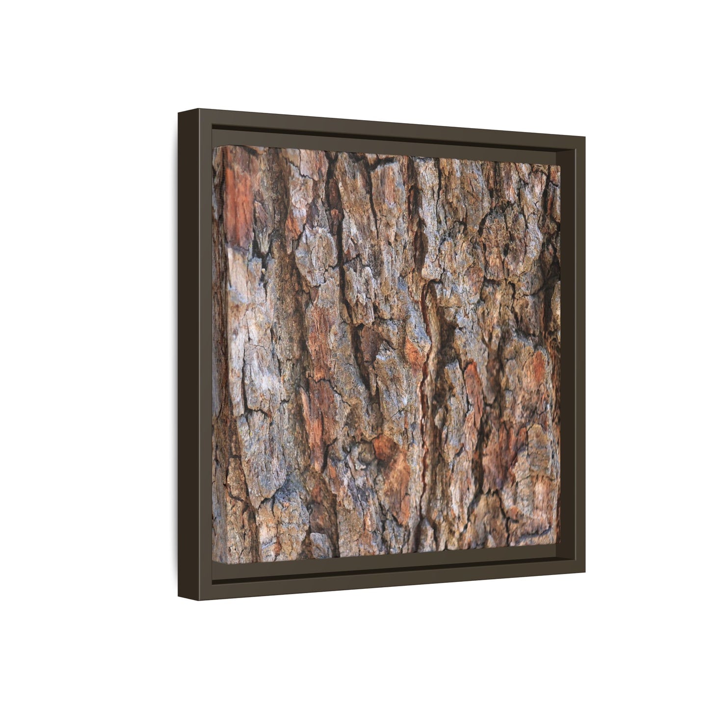 Tree's Timeworn Tale - Unique Stretched Canvas Wall Art