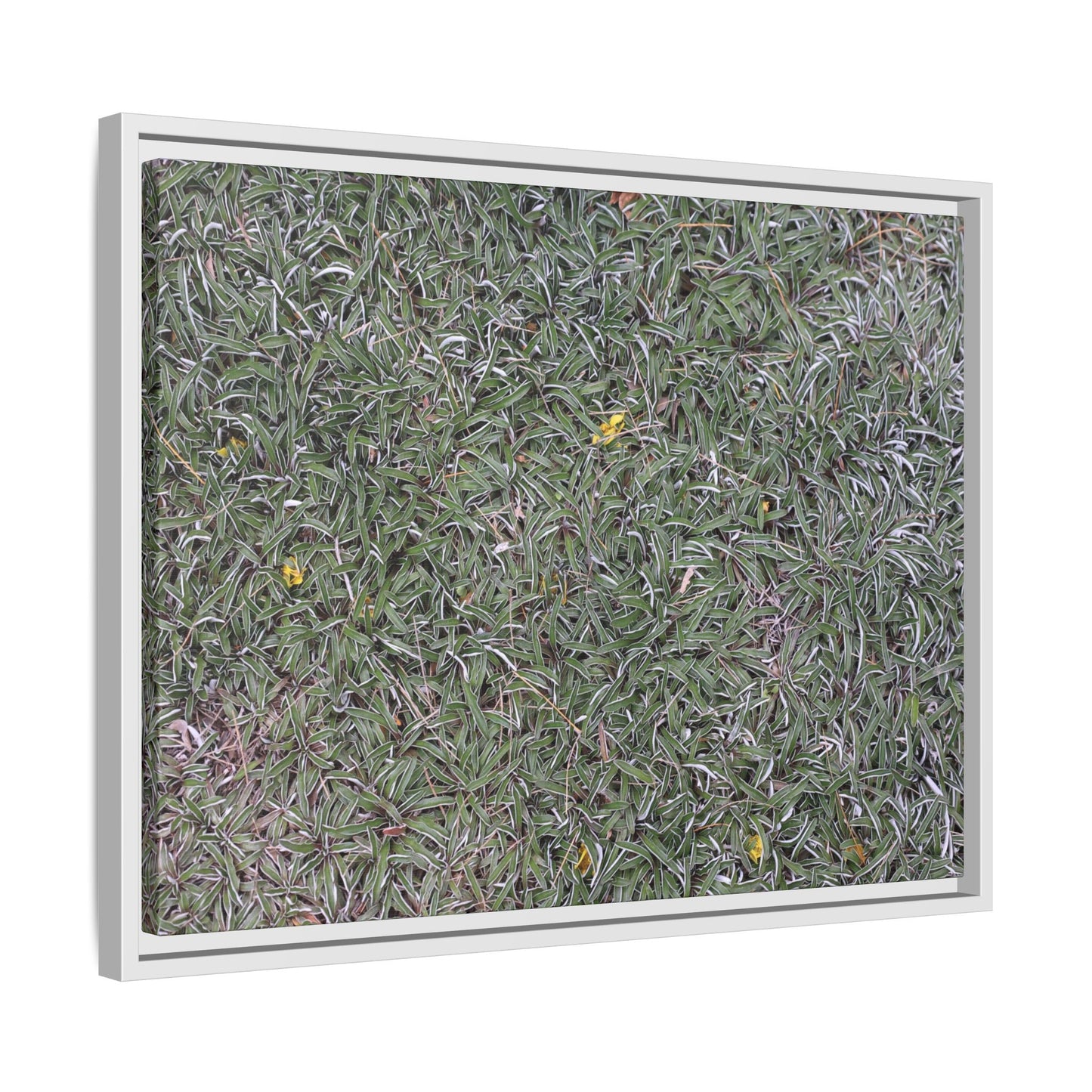 Grassy Texture - Unique Stretched Canvas Wall Art