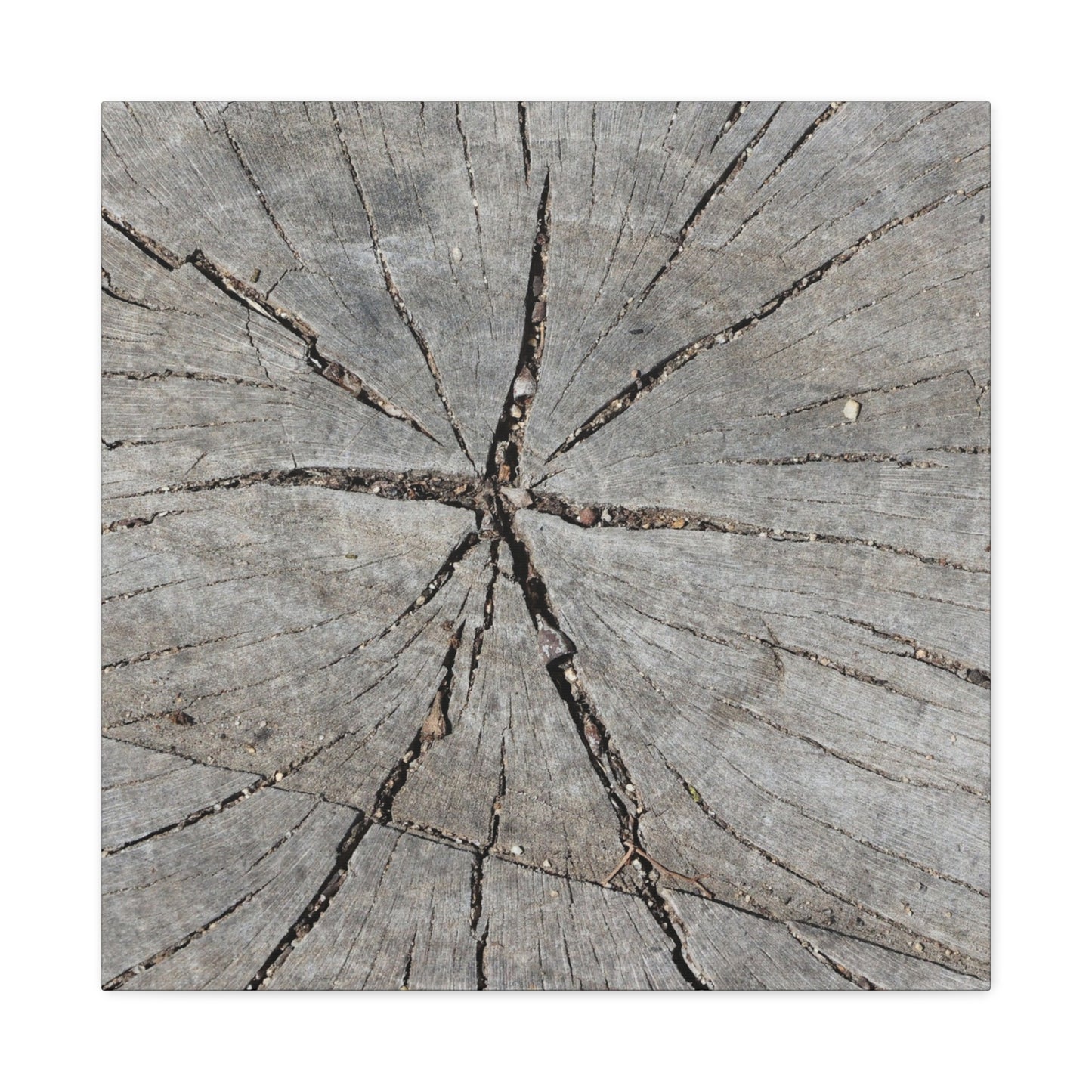 Cracked Chronicle - Unique Frameless Canvas Wall Art
