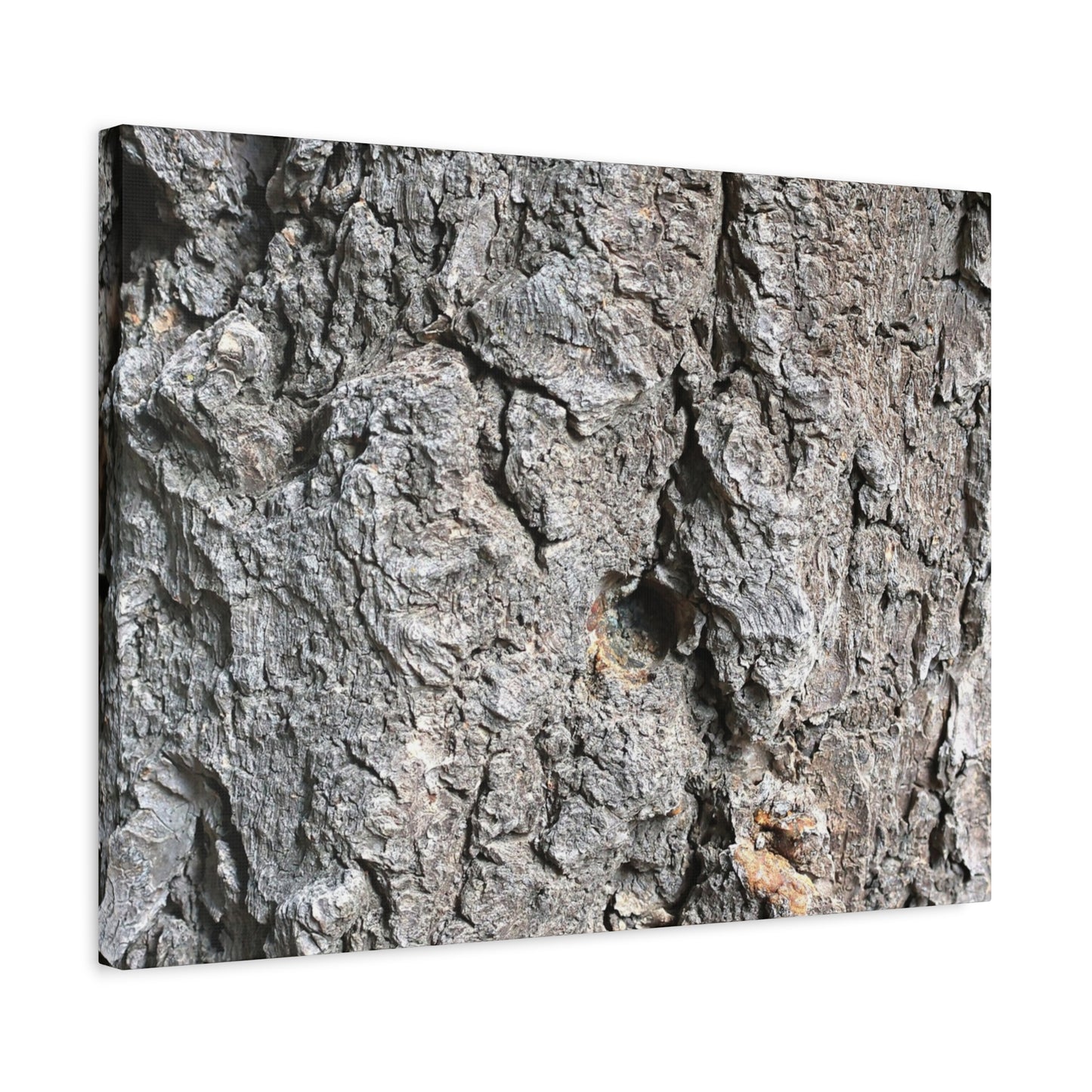 Elemental Canvas - Unique Frameless Canvas Wall Art