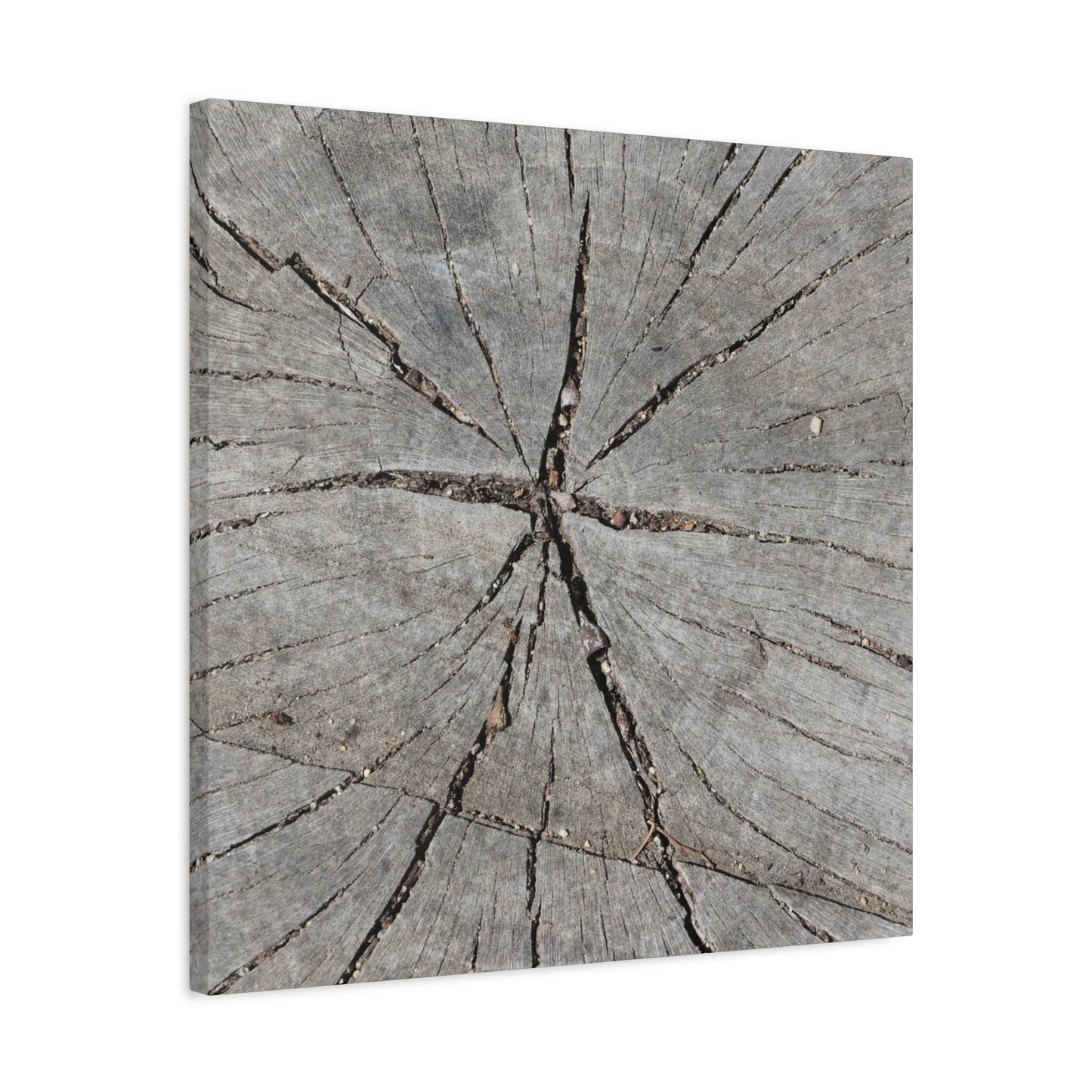 Cracked Chronicle - Unique Frameless Canvas Wall Art