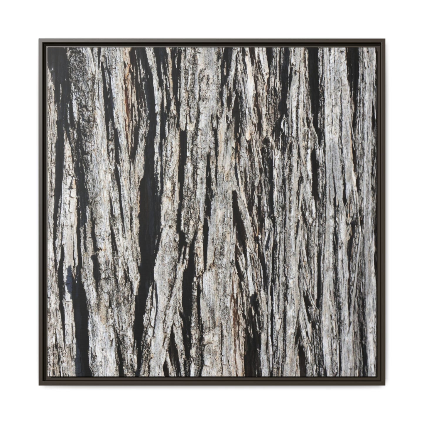 Nature's Abstract - Unique Stretched Canvas Wall Art