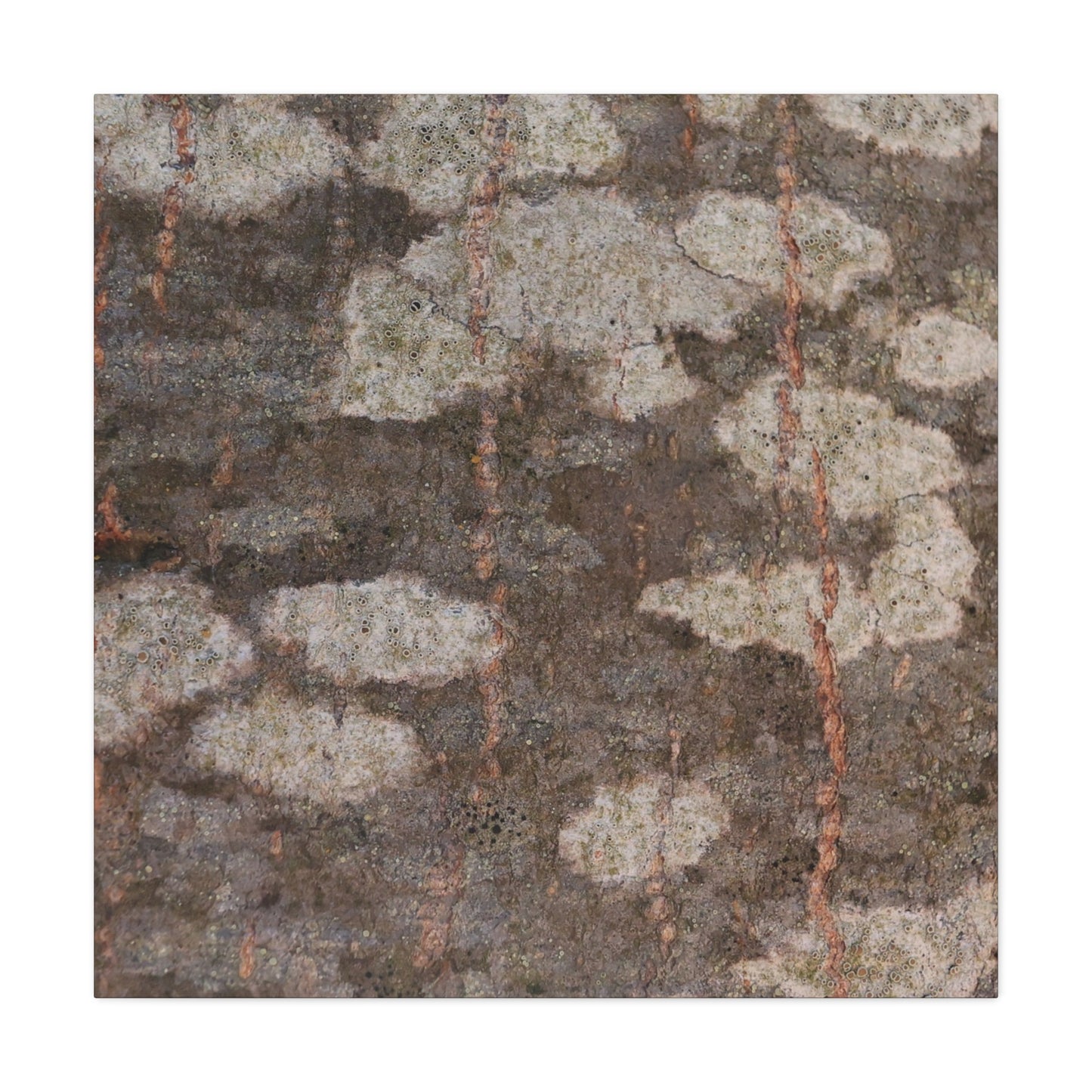 Earthen Memoir - Unique Frameless Canvas Wall Art
