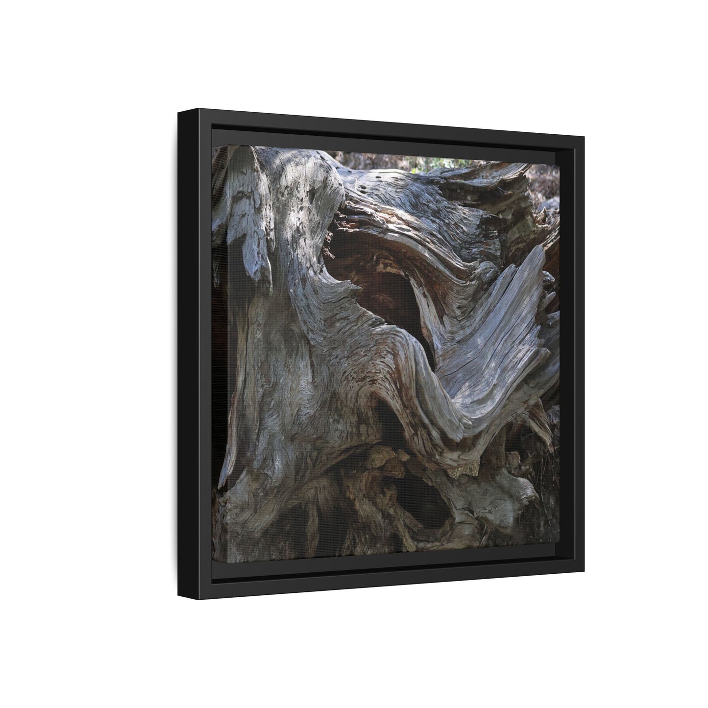 Twisted Memories - Unique Stretched Canvas Wall Art