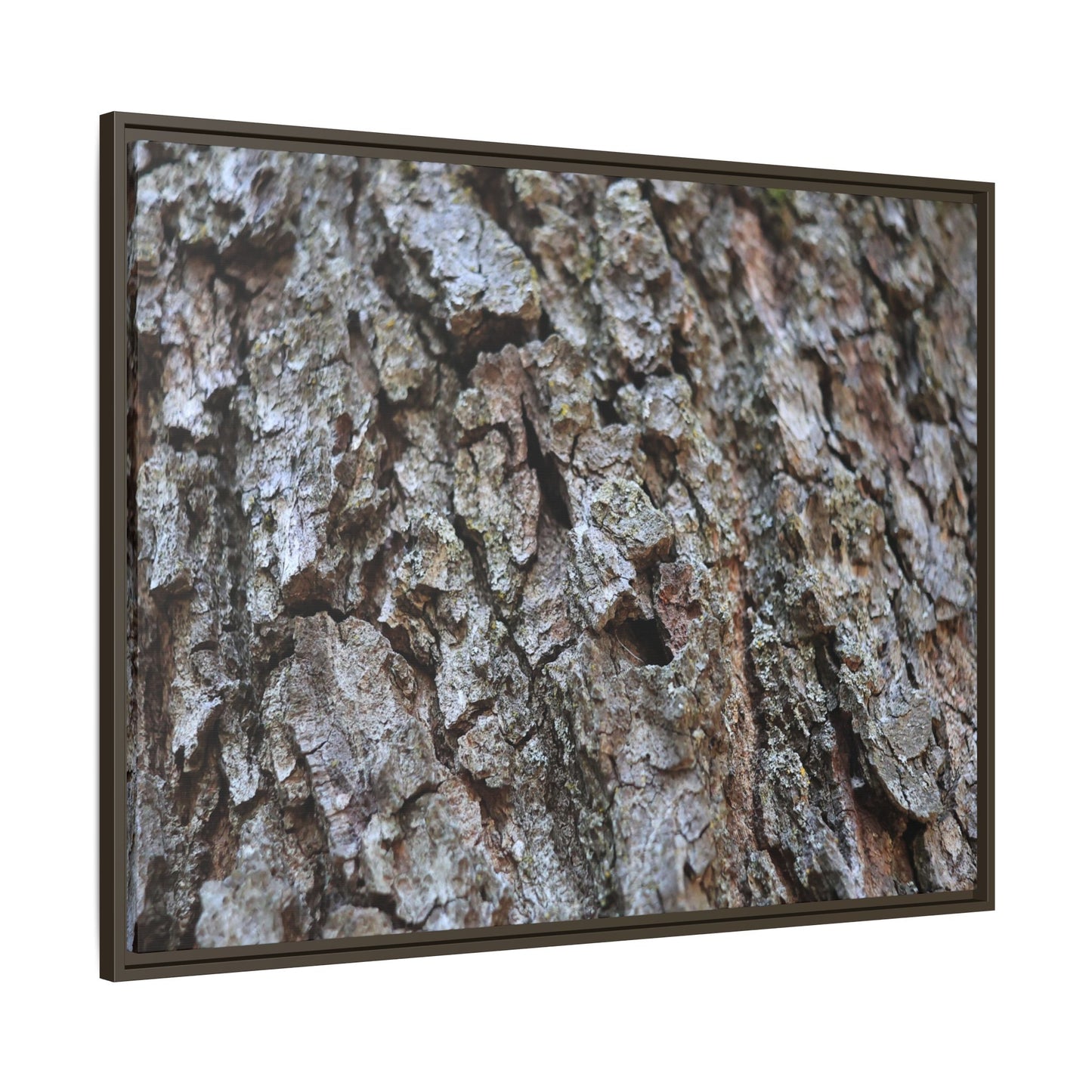 Woodland Canvas - Unique Stretched Canvas Wall Art
