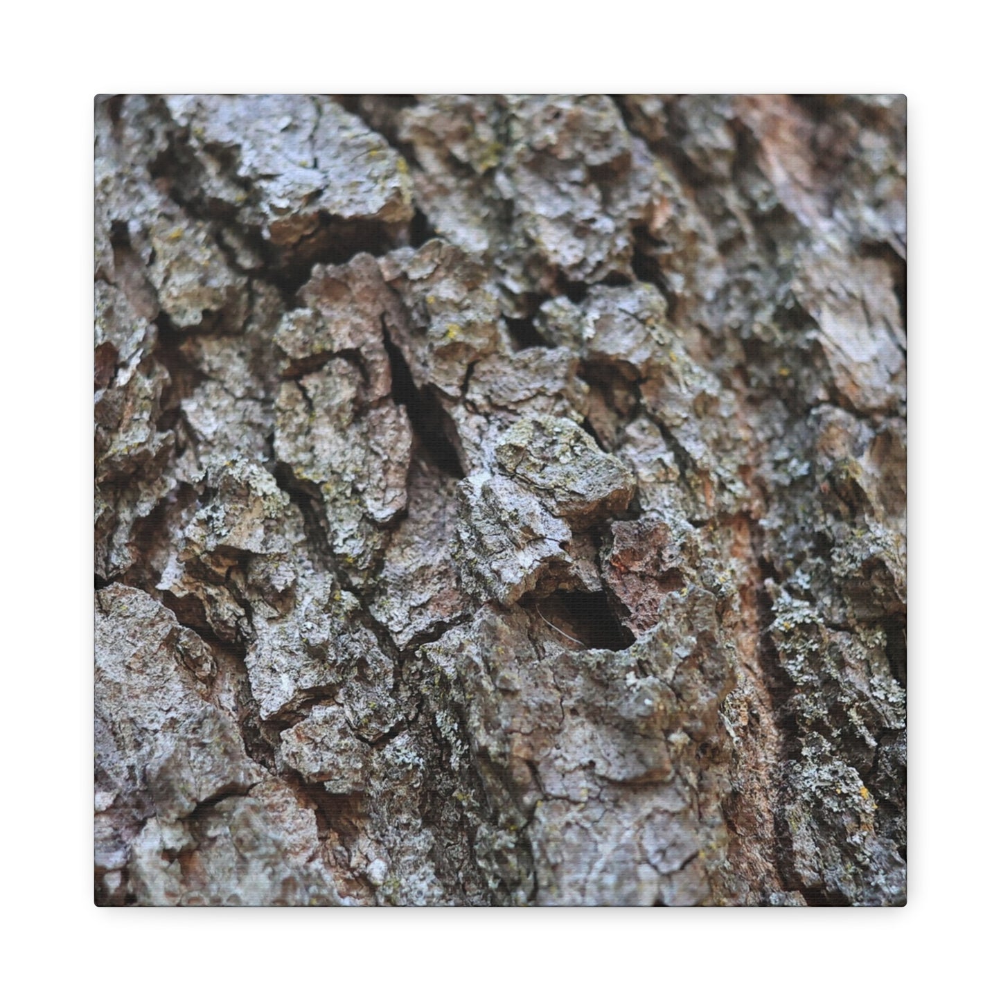Cracked Echoes - Unique Frameless Canvas Wall Art