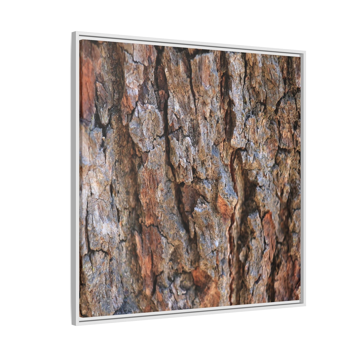 Craggy Textures - Unique Stretched Canvas Wall Art