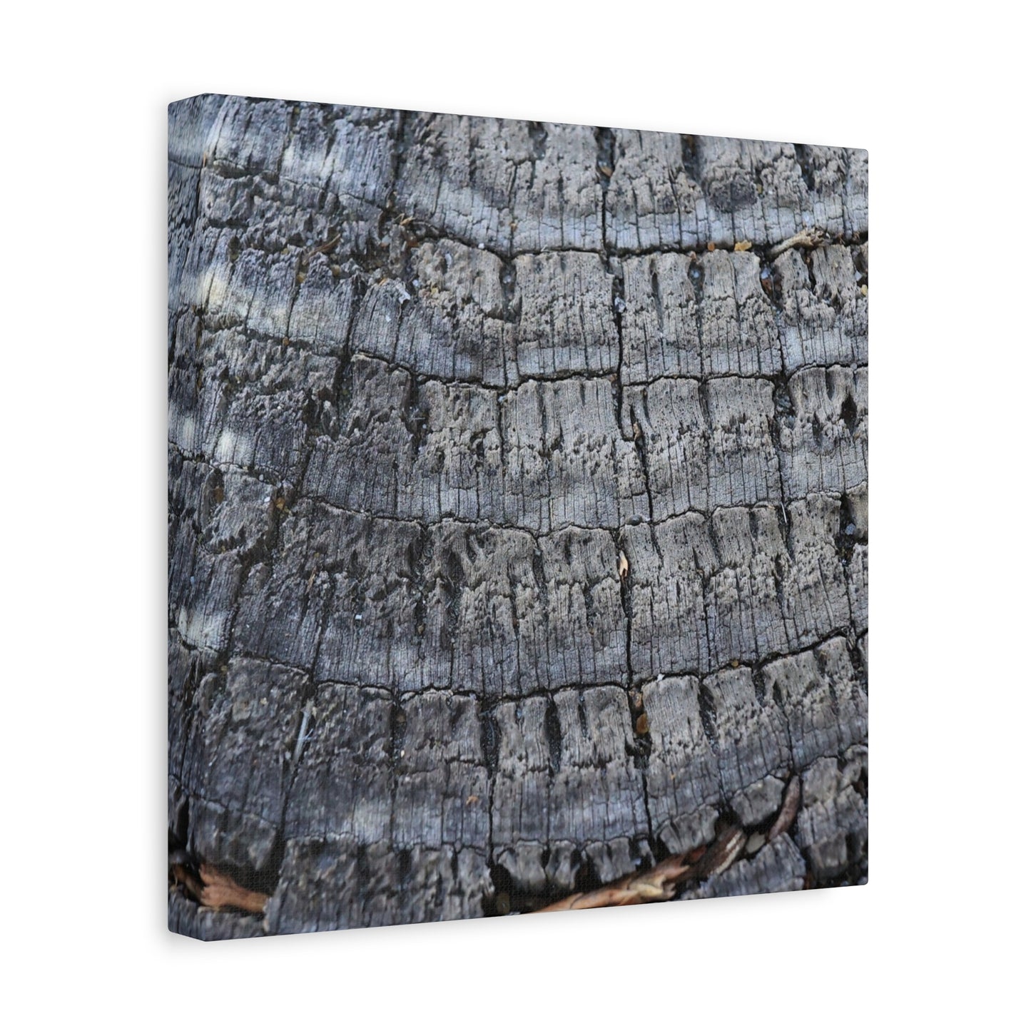 Whispers of Age - Unique Frameless Canvas Wall Art