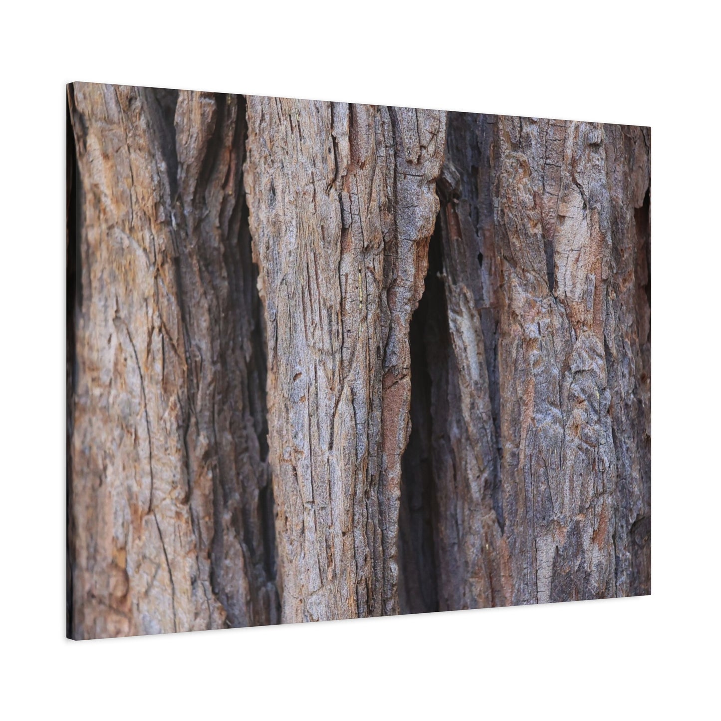 Fractal Skin - Unique Frameless Canvas Wall Art
