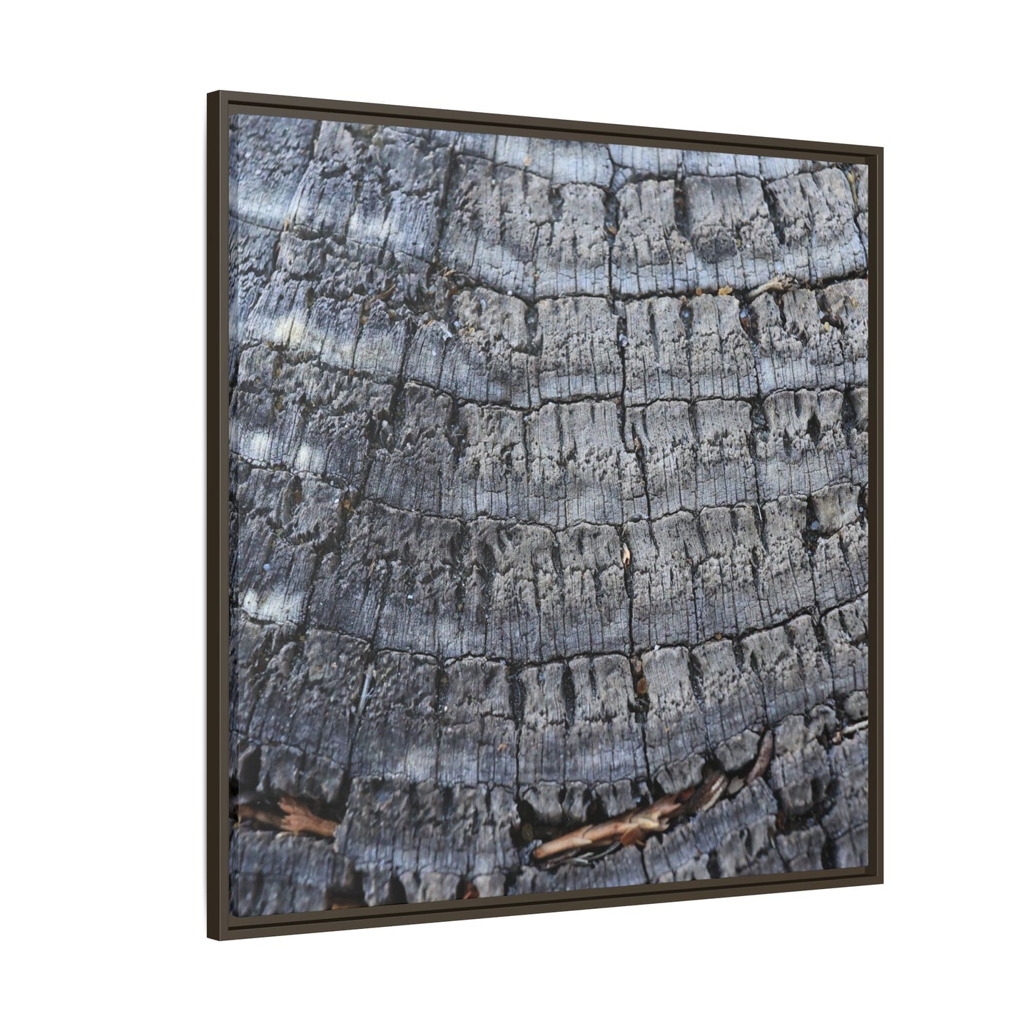 Charred Memories - Unique Stretched Canvas Wall Art