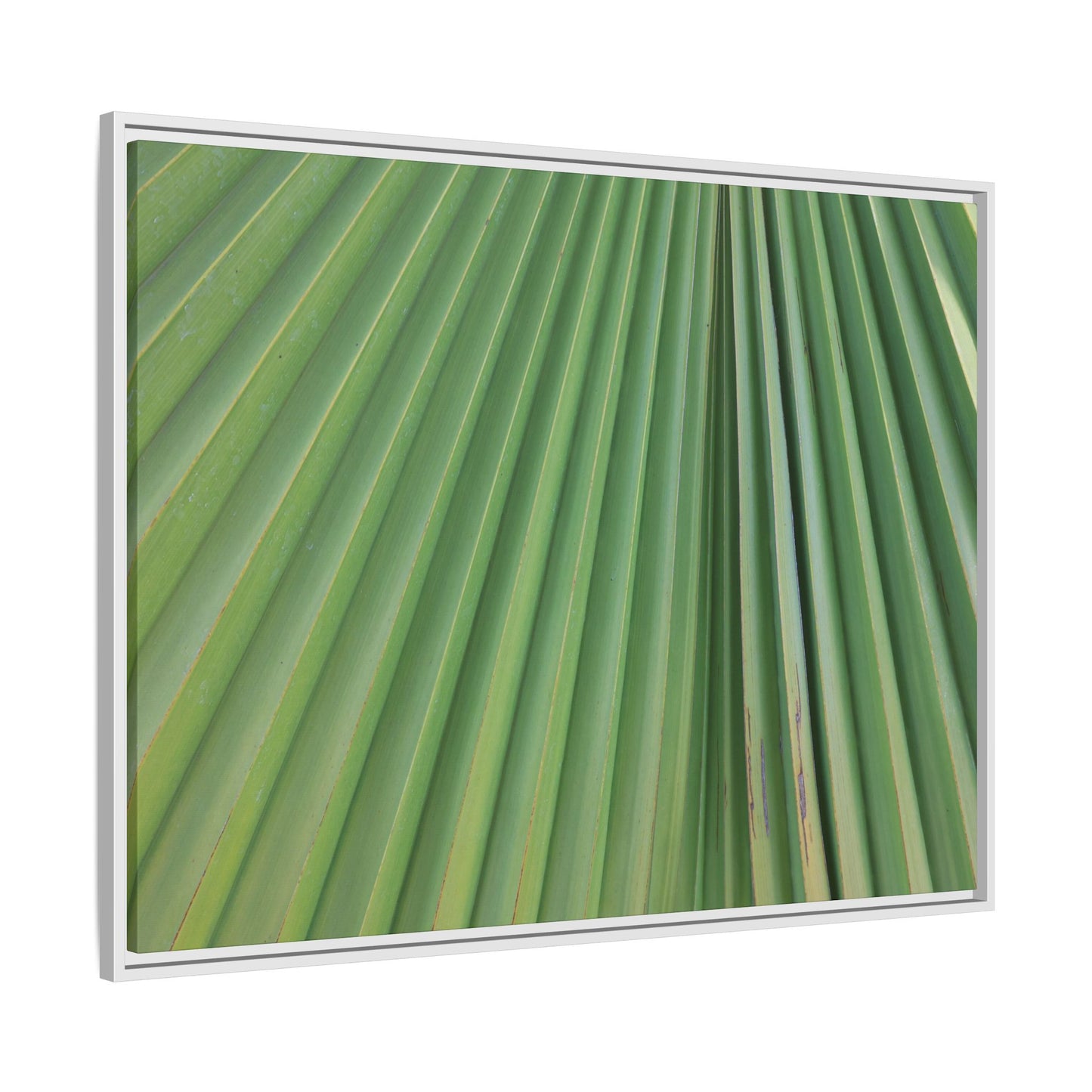 Emerald Rays - Unique Stretched Canvas Wall Art