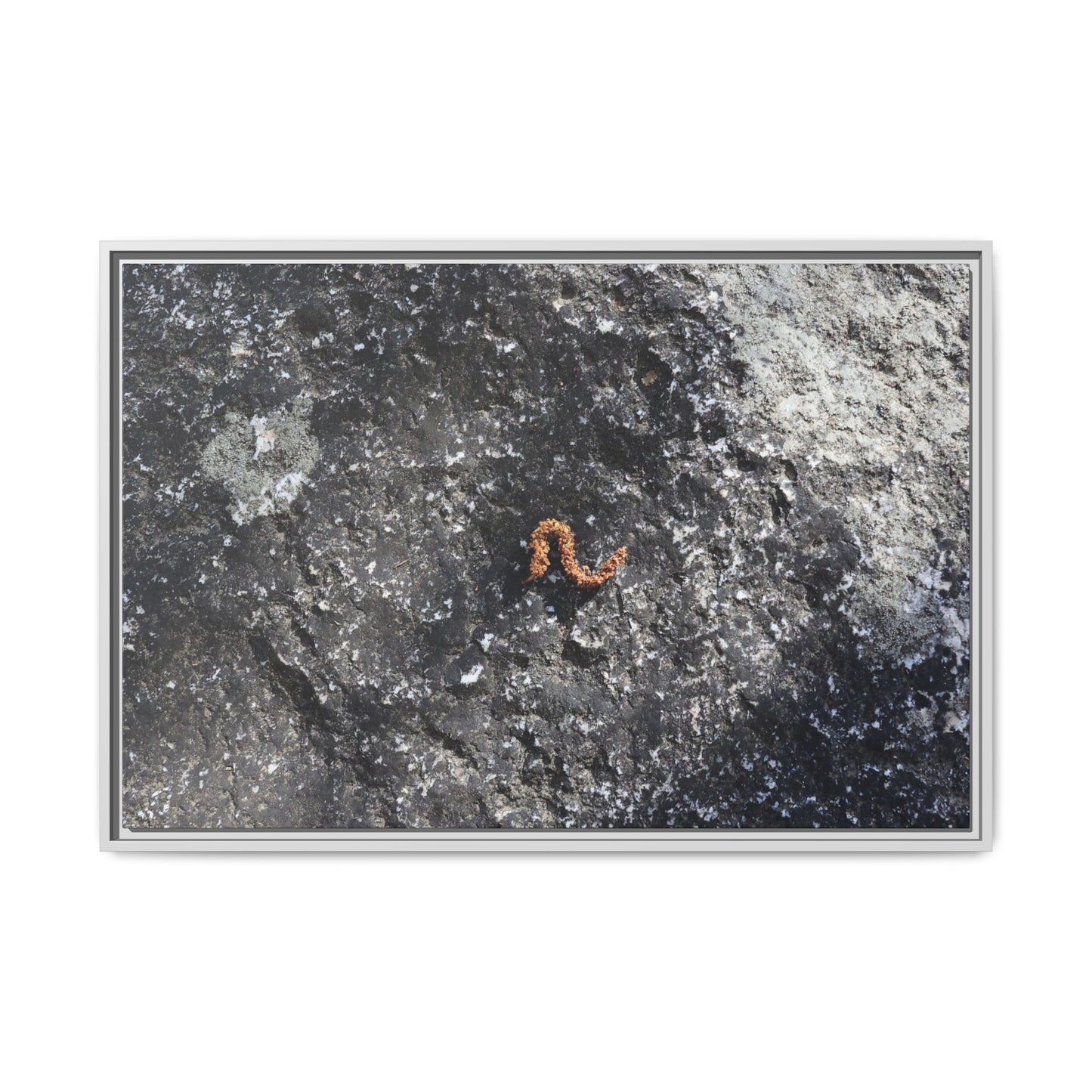 Volcanic Ash and Copper - Unique Stretched Canvas Wall Art