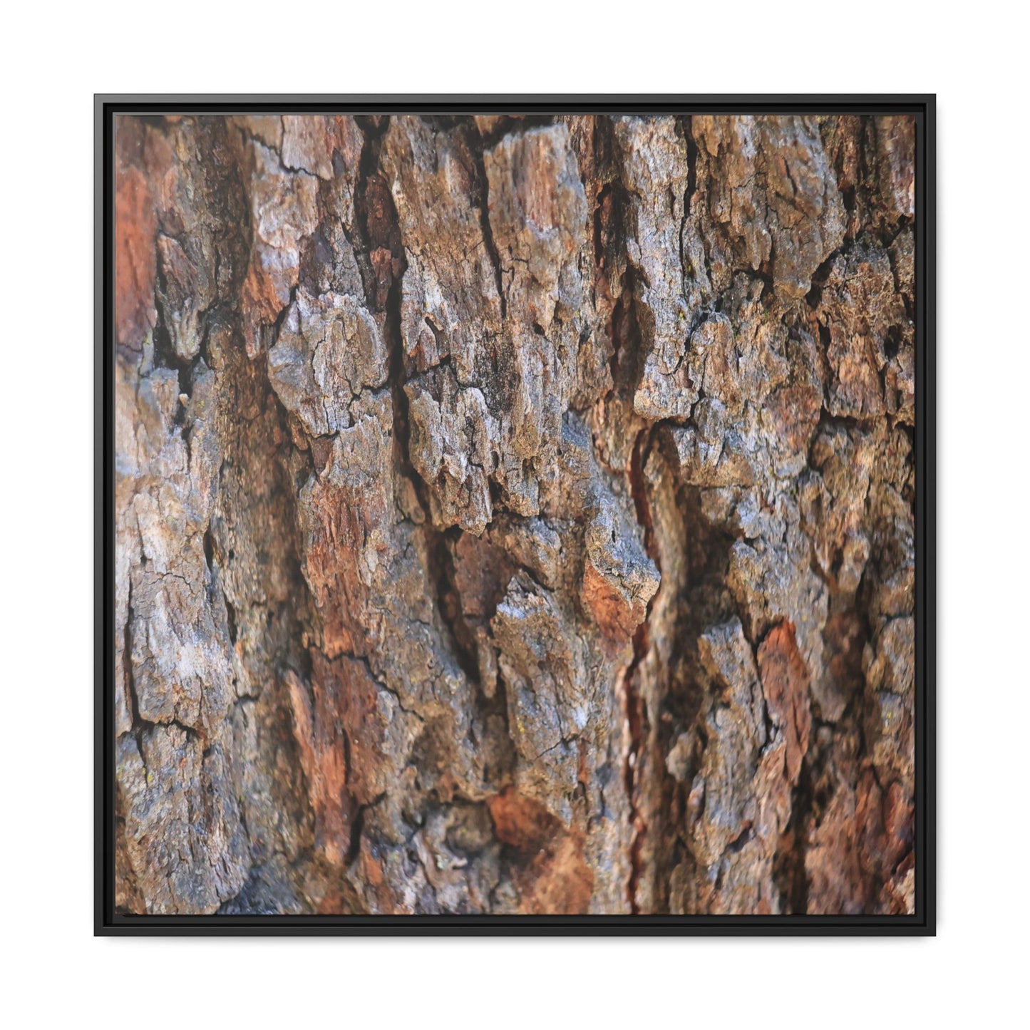 Craggy Textures - Unique Stretched Canvas Wall Art